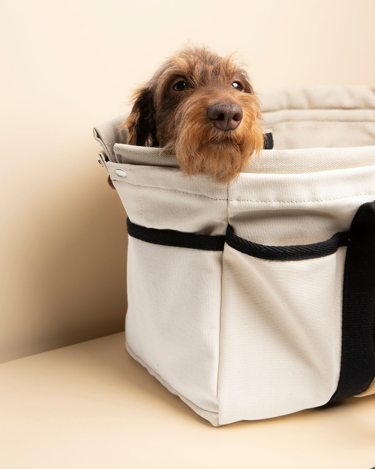 DIANA BAG | תיק נשיאה לכלב או תיק לבעלים