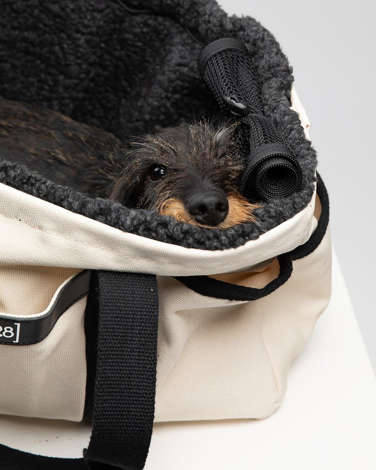 DIANA BAG | תיק נשיאה לכלב או תיק לבעלים