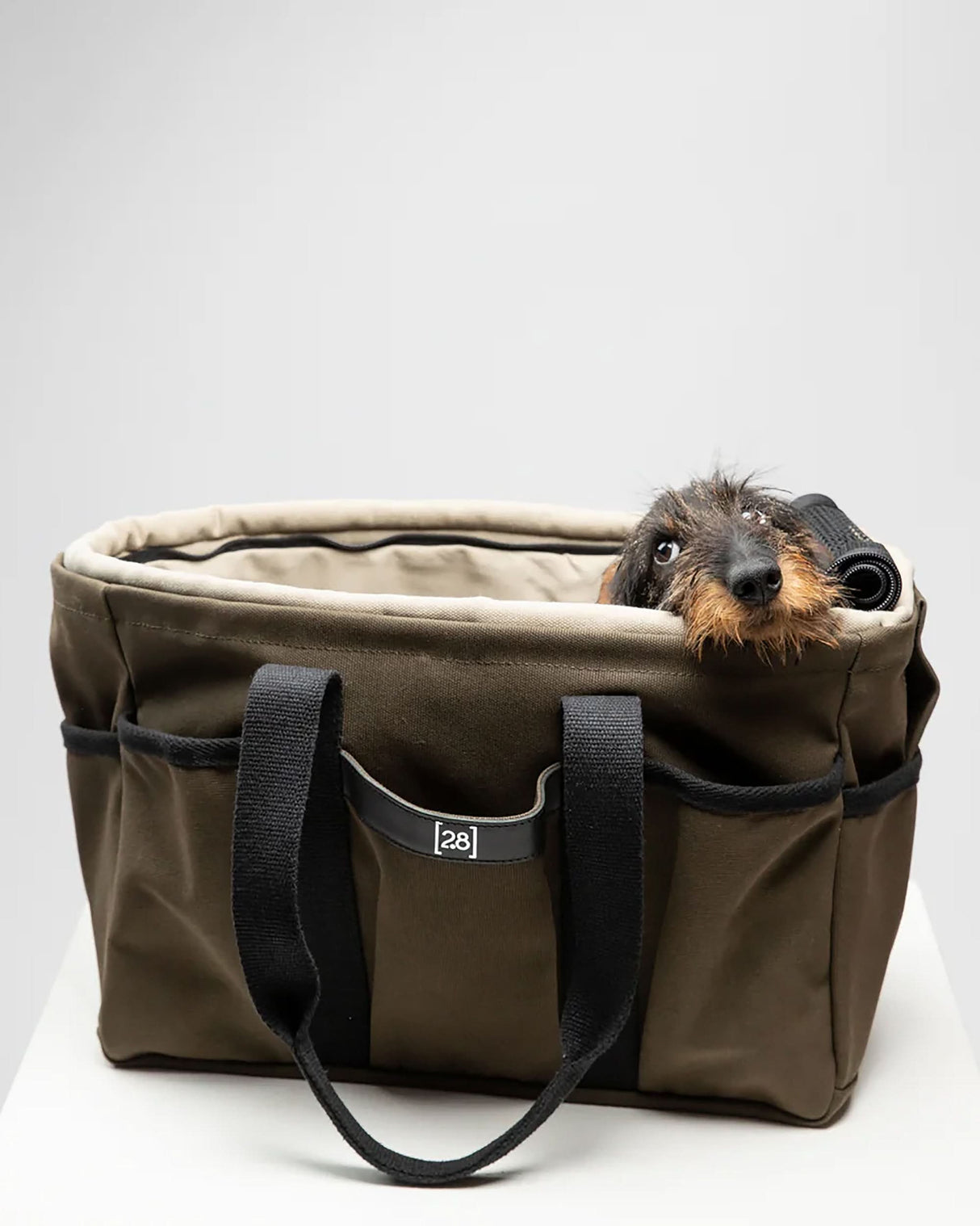 DIANA BAG | תיק נשיאה לכלב או תיק לבעלים