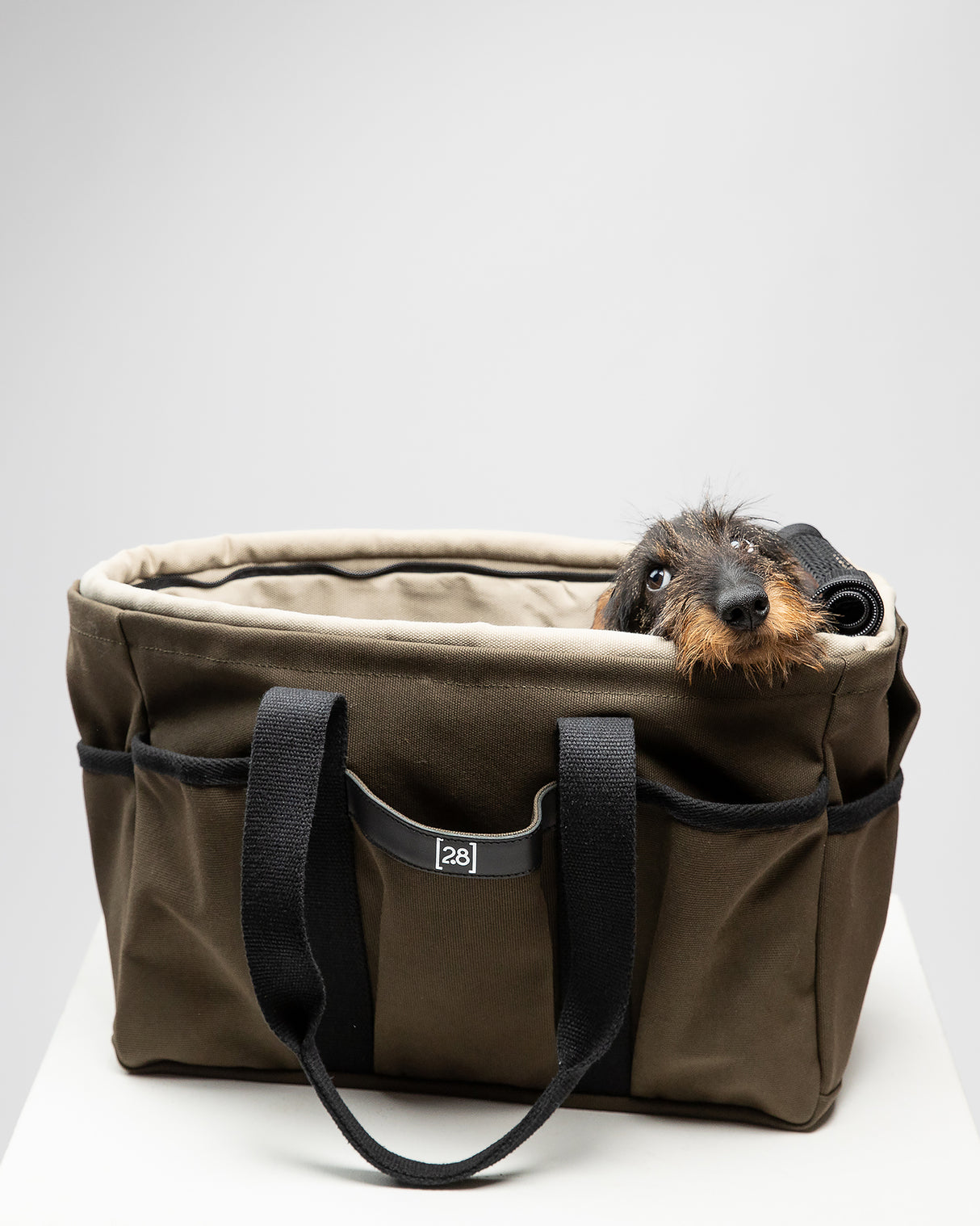 DIANA BAG | תיק נשיאה לכלב או תיק לבעלים