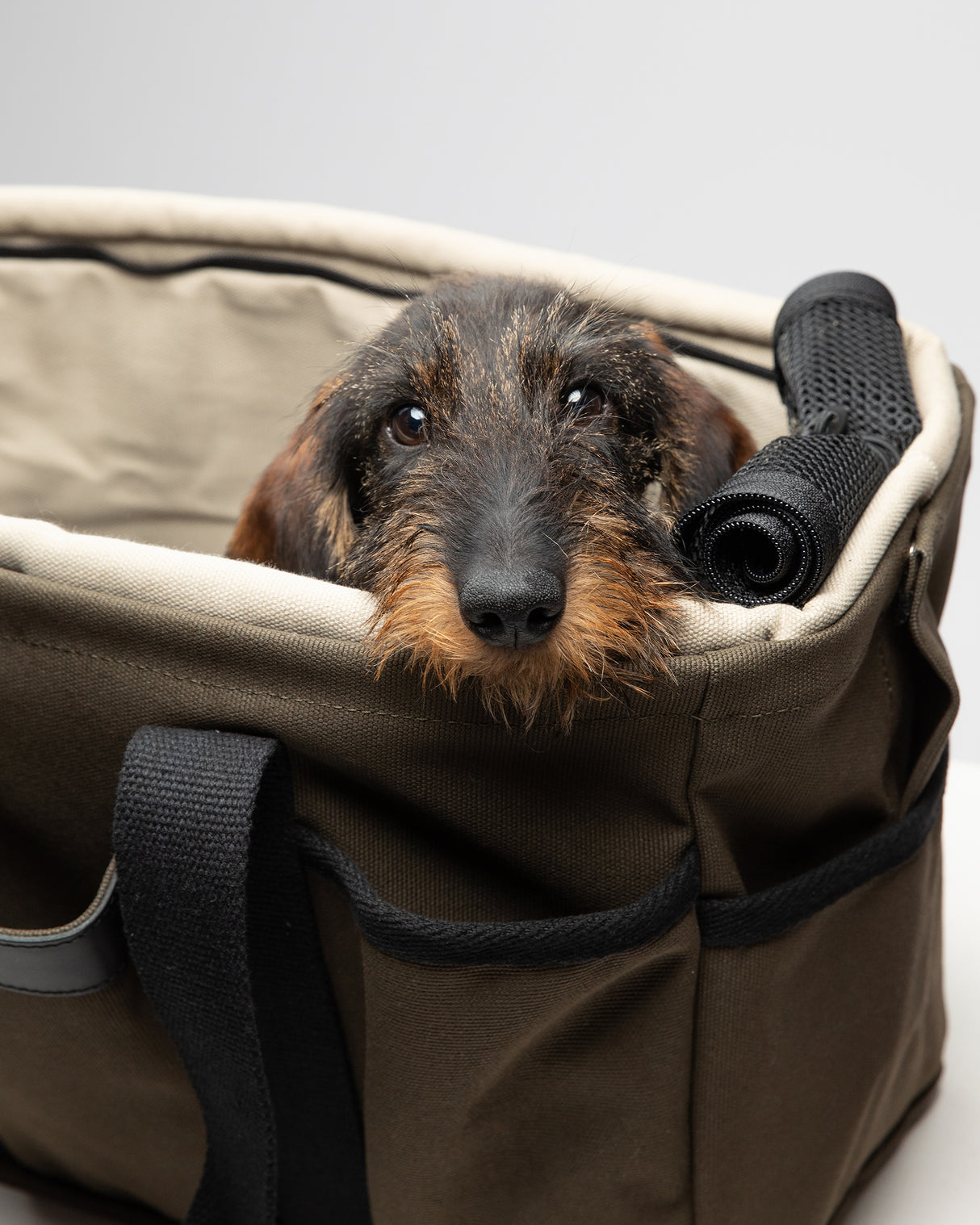 DIANA BAG | תיק נשיאה לכלב או תיק לבעלים