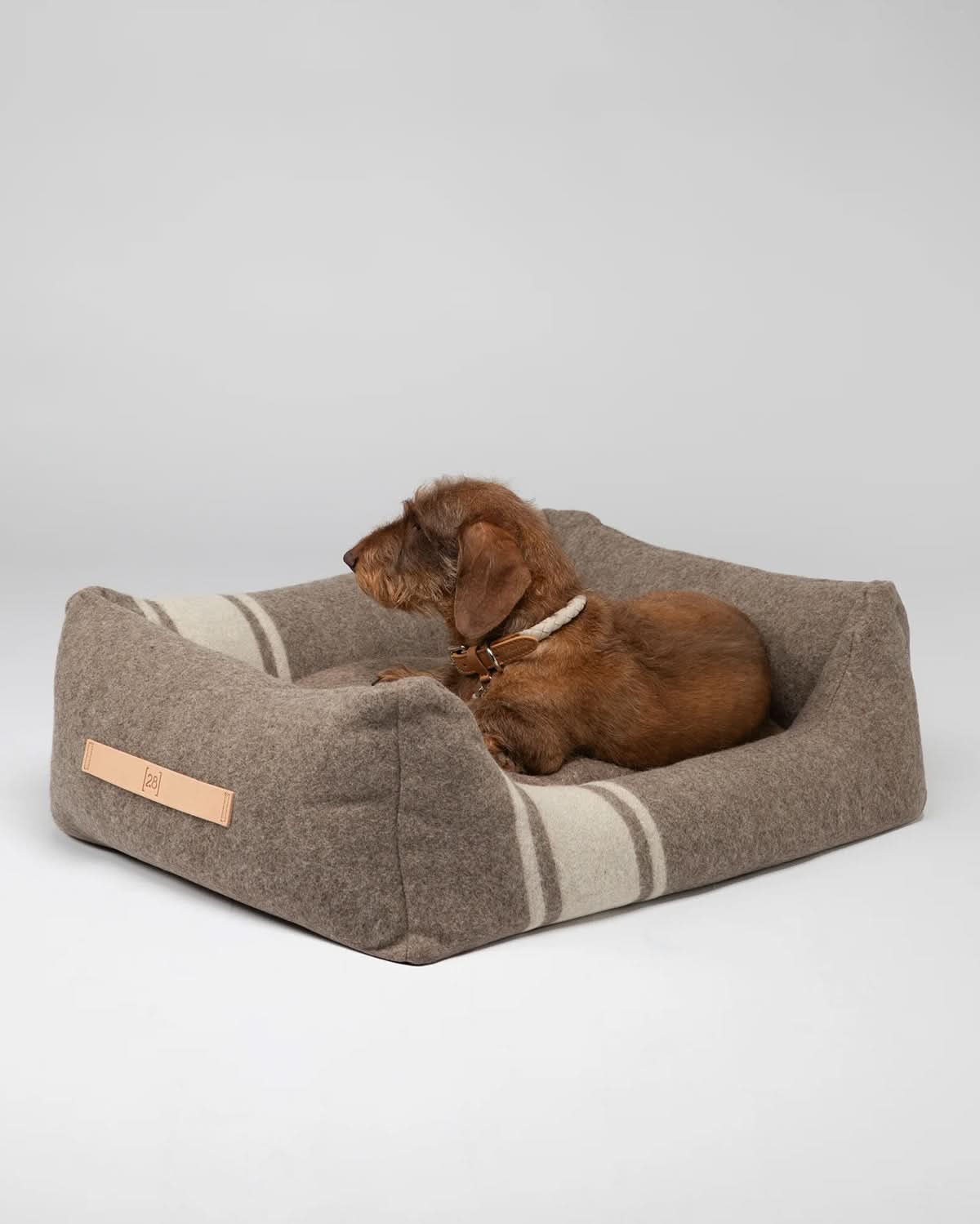 קולר מיקרופייבר אלגנטי לכלב | FERDINANDO MICROFIBRE COLLAR