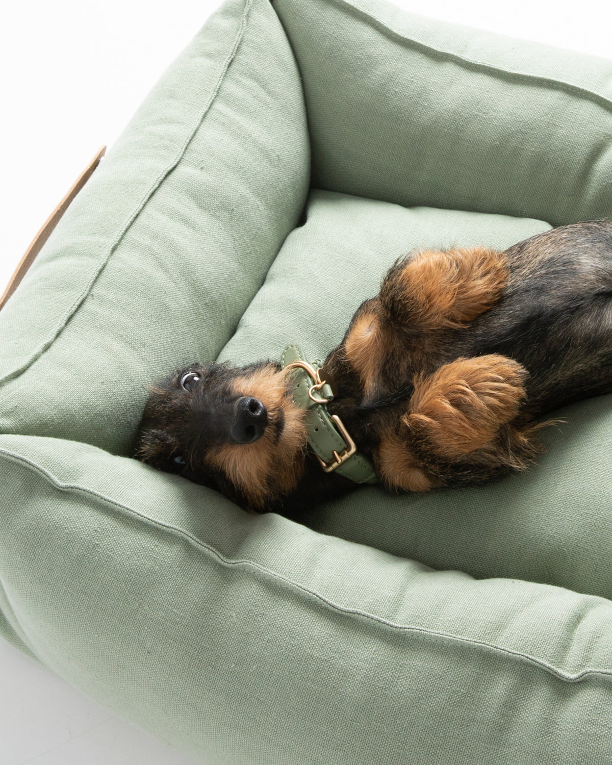 מיטה לכלב מפשתן טהור | EDWARD PURE LINEN DOG BED