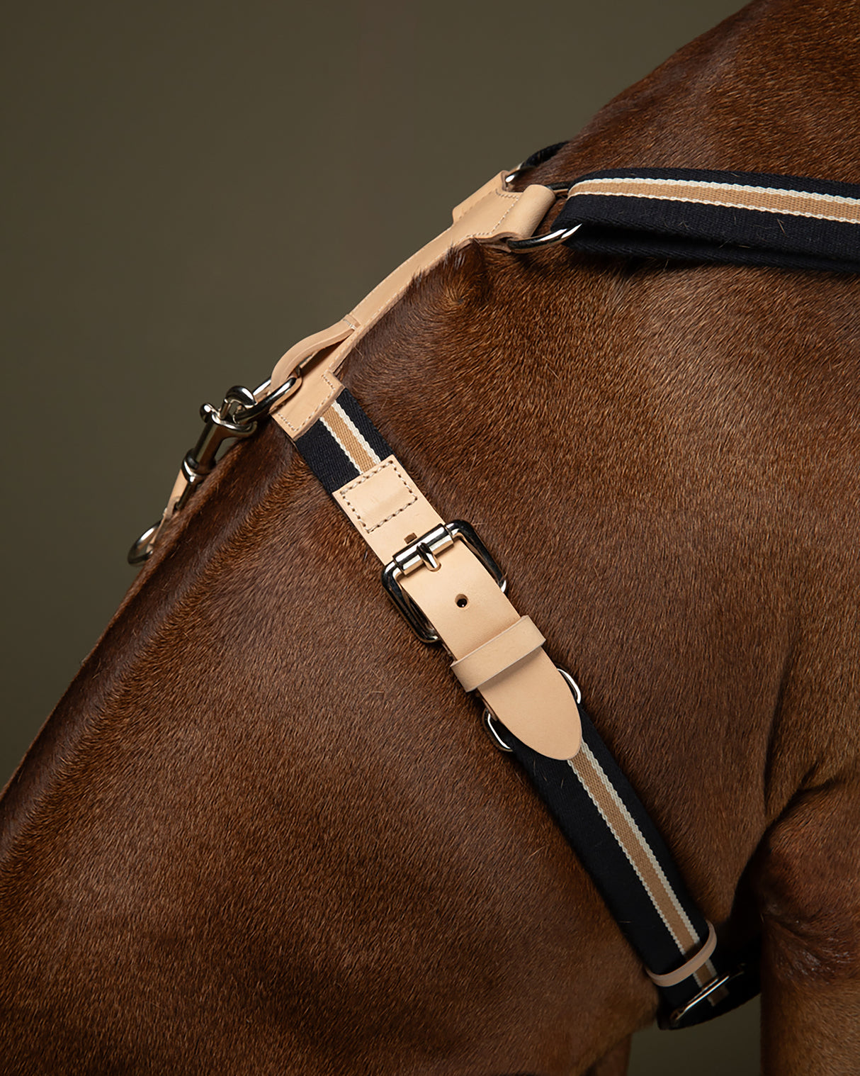 FRANCO RIBBON DOG HANRESS | רתמה לכלב