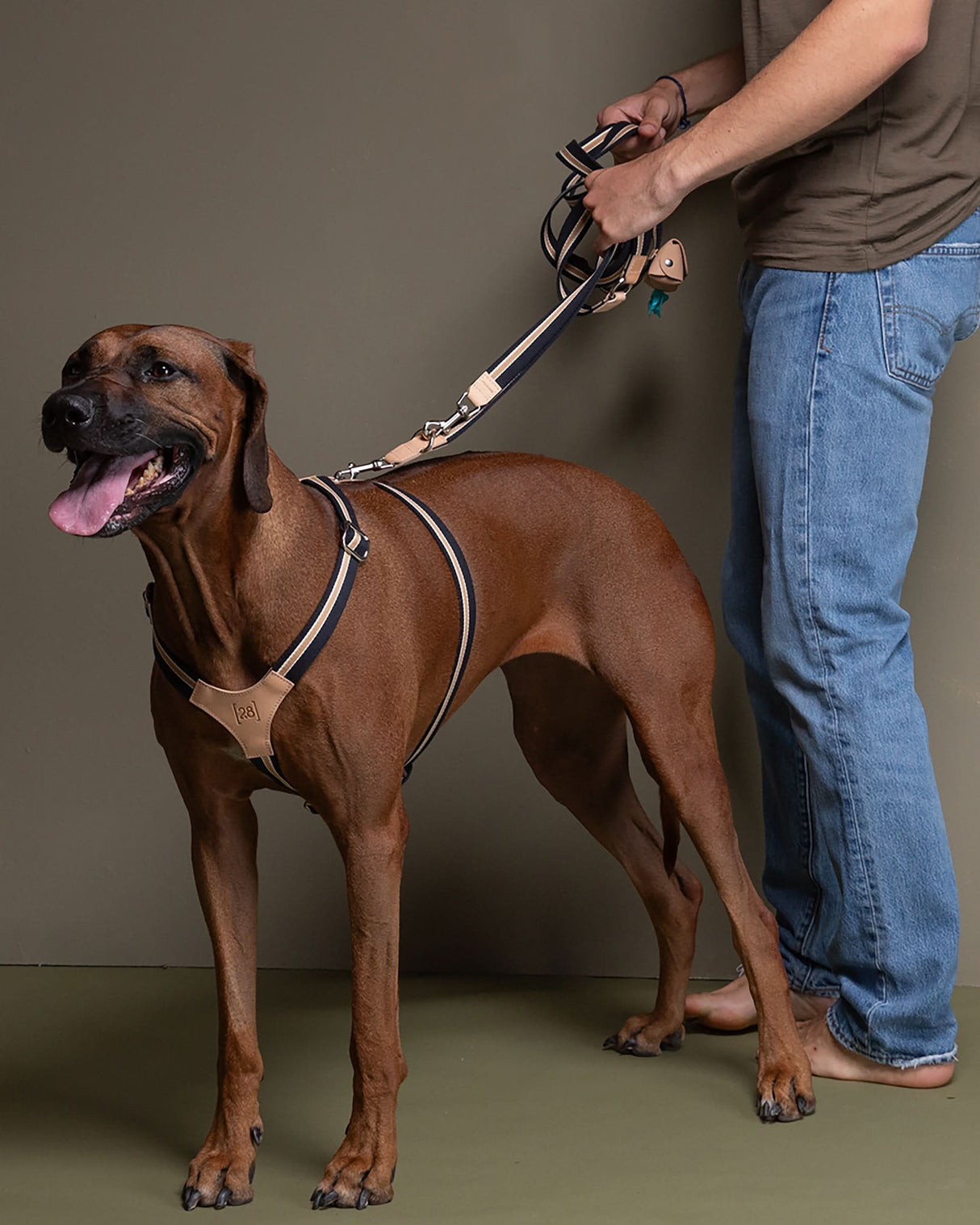 רצועה ארוכה ומתכווננת לכלב בעיצוב איטלקי | FREE-HANDS FRANCO RIBBON LEASH