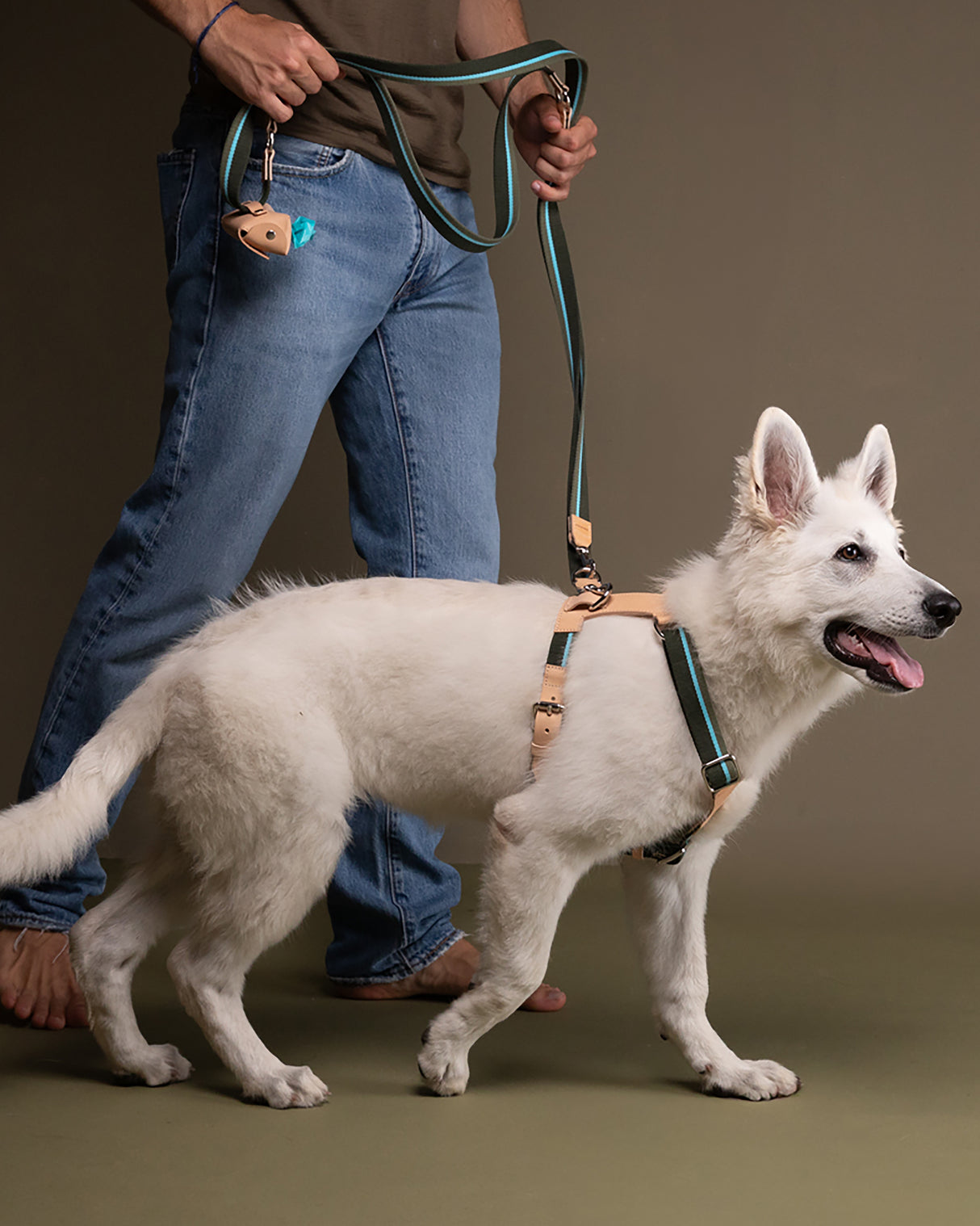 GERDA POOP BAG HOLDER | נרתיק שקיות איסוף מעור