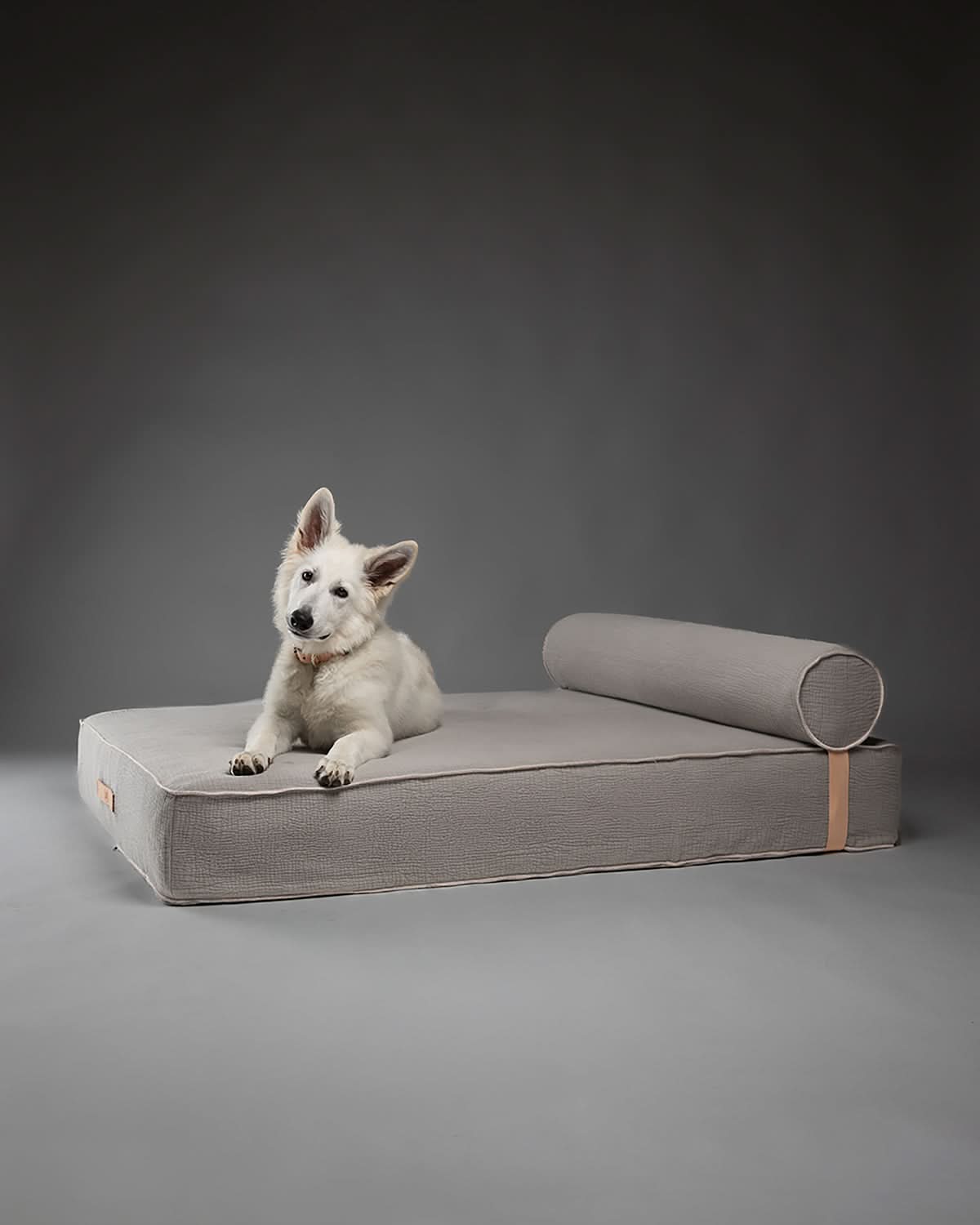 GIAMPAOLO ELEPHANT COTTON LOUNGE BED | מיטת לאונג׳ אורתופדית לכלב