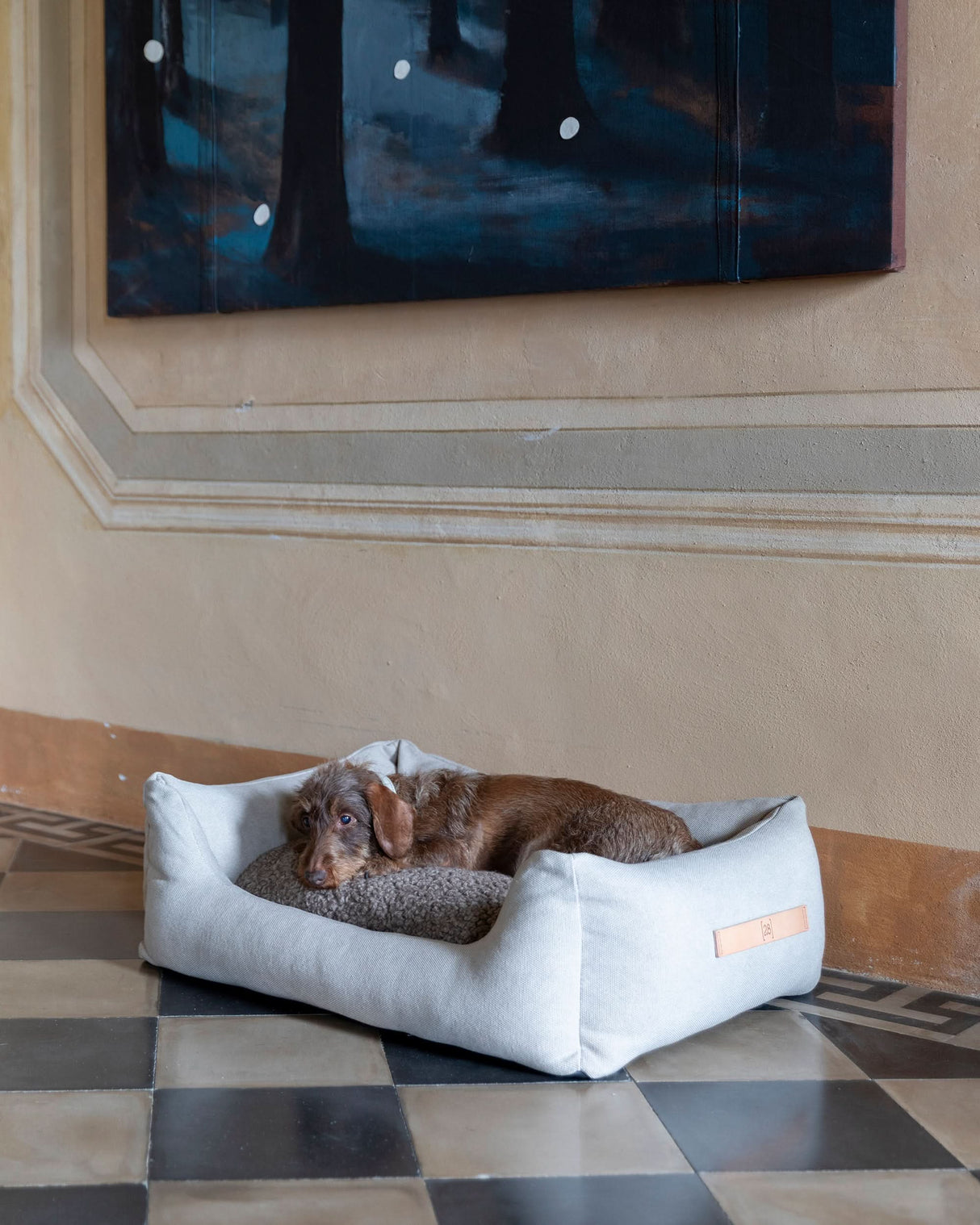 HENRI ORGANIC COTTON DOG BED | מיטה לכלב