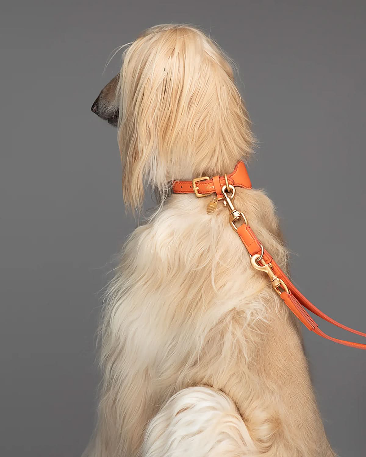 MARIO WIDE LEATHER COLLAR | קולר עור נאפה רחב לכלב