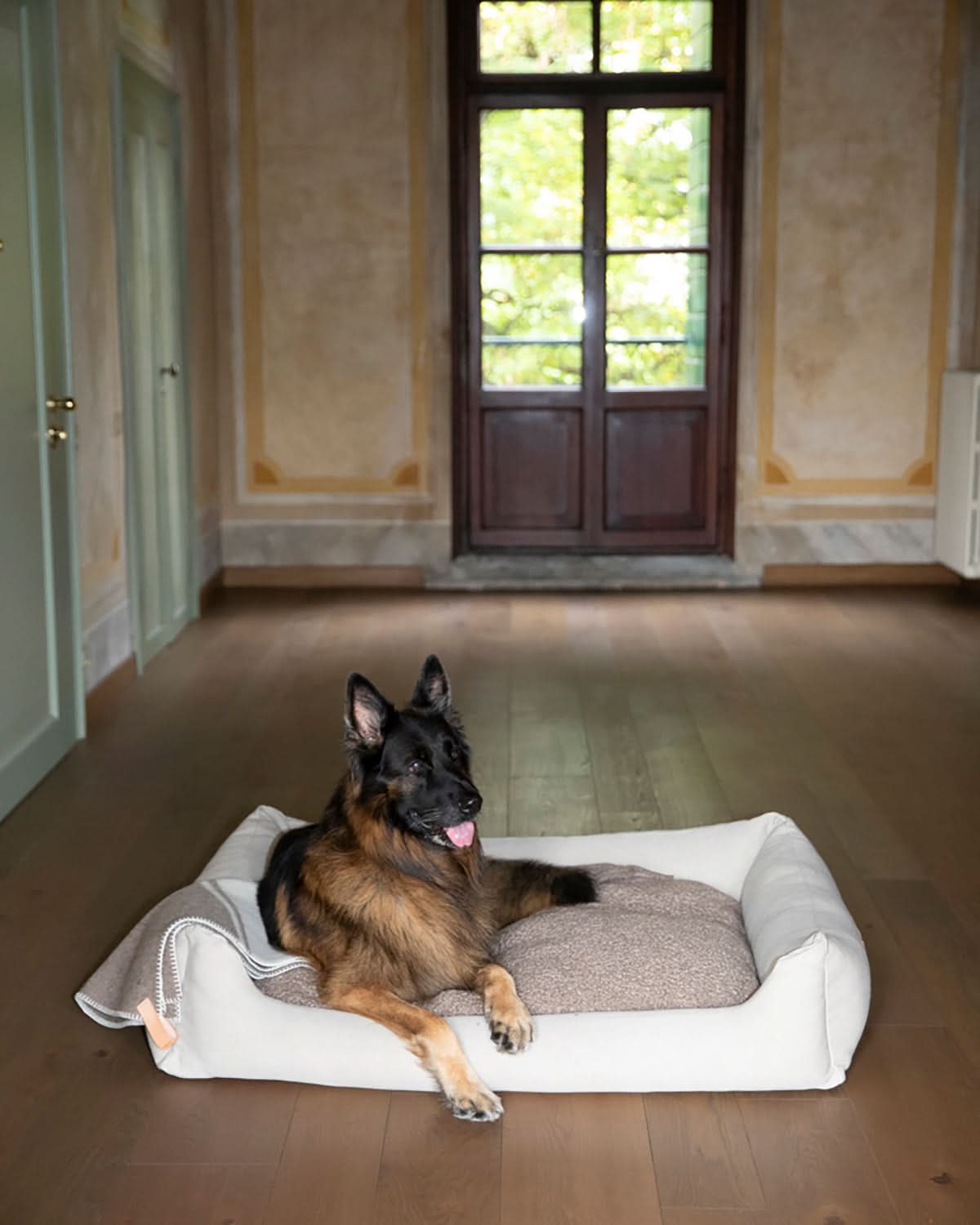 HENRI ORGANIC COTTON DOG BED | מיטה לכלב