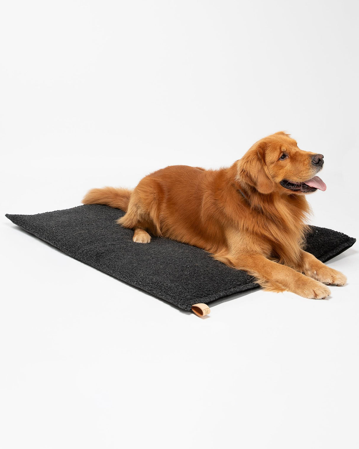 RICHARD SLIM DOG CUSHION | כרית לכלב