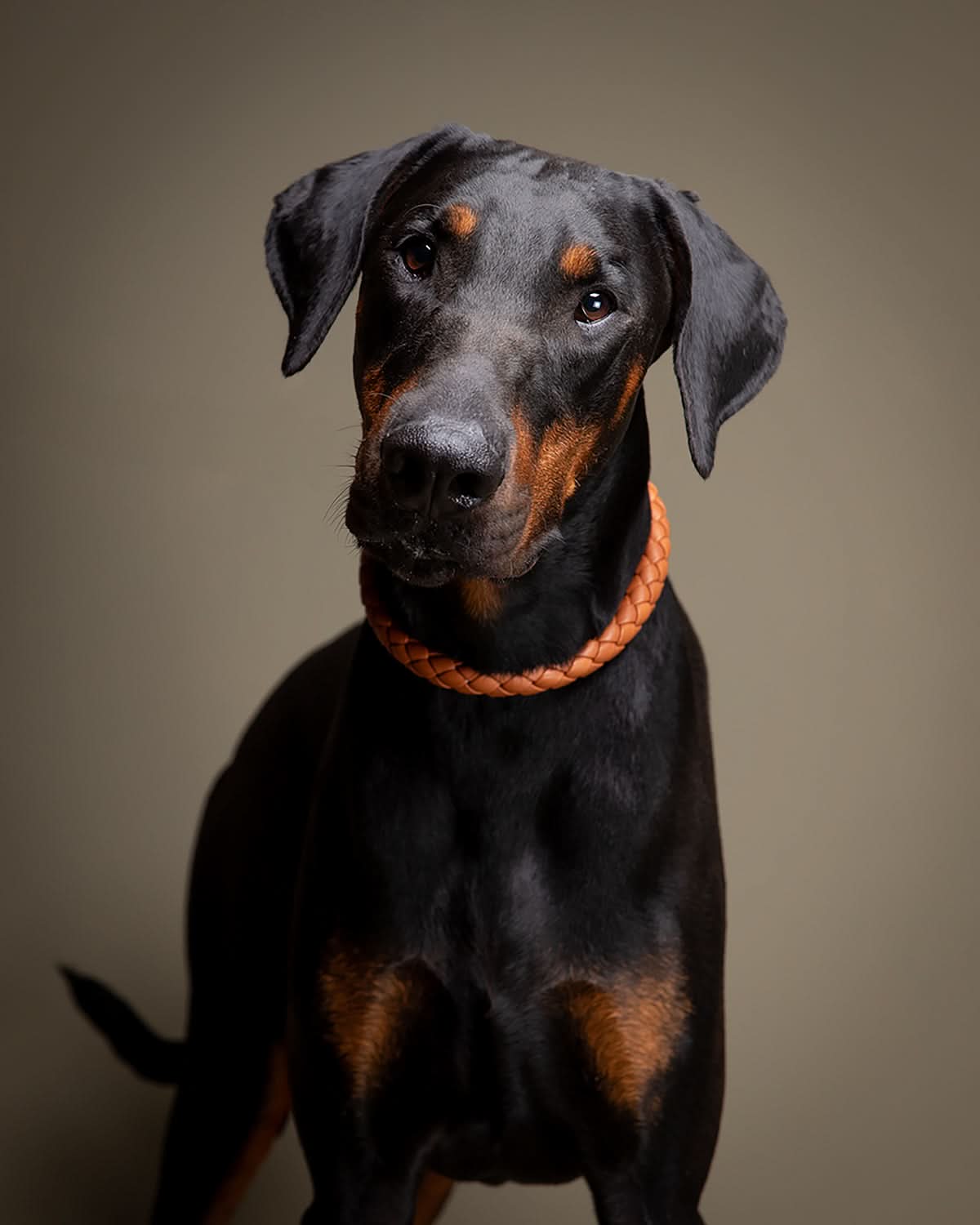 קולר לכלב, קולר עור לכלבים