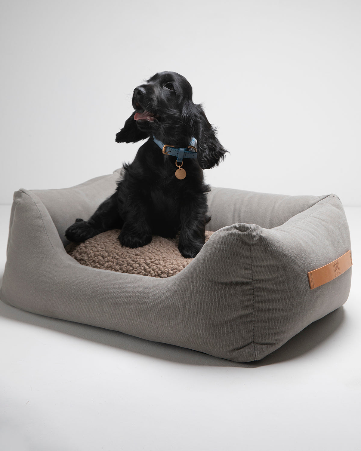 HENRI COTTON CANVAS BED | מיטה לכלב