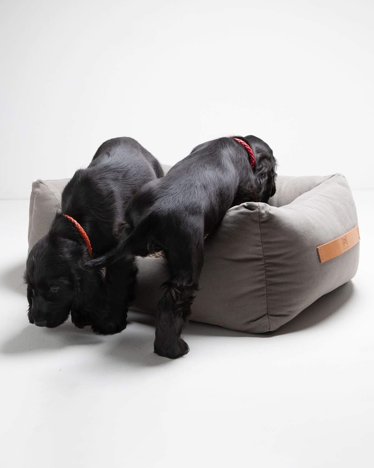 HENRI COTTON CANVAS DOG BED | מיטה לכלב