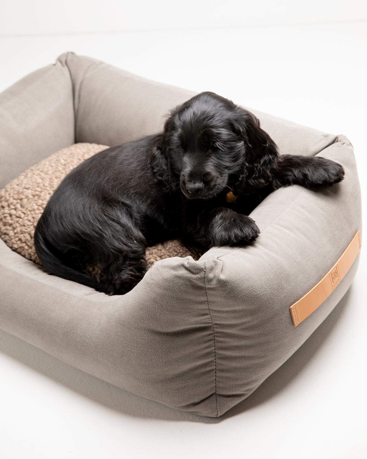 HENRI COTTON CANVAS BED | מיטה לכלב