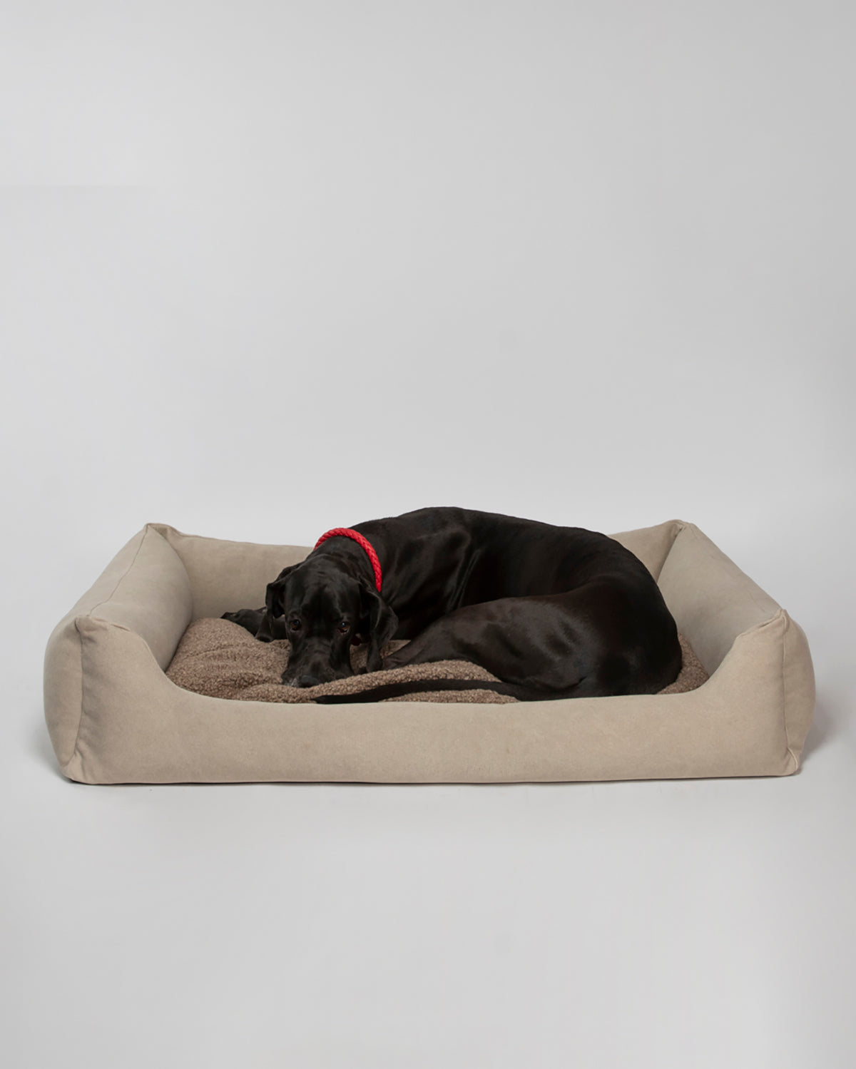 HENRI ORGANIC COTTON BED | מיטה לכלב