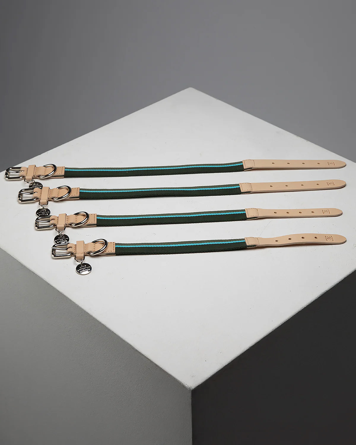 FRANCO RIBBON DOG COLLAR | קולר לכלב