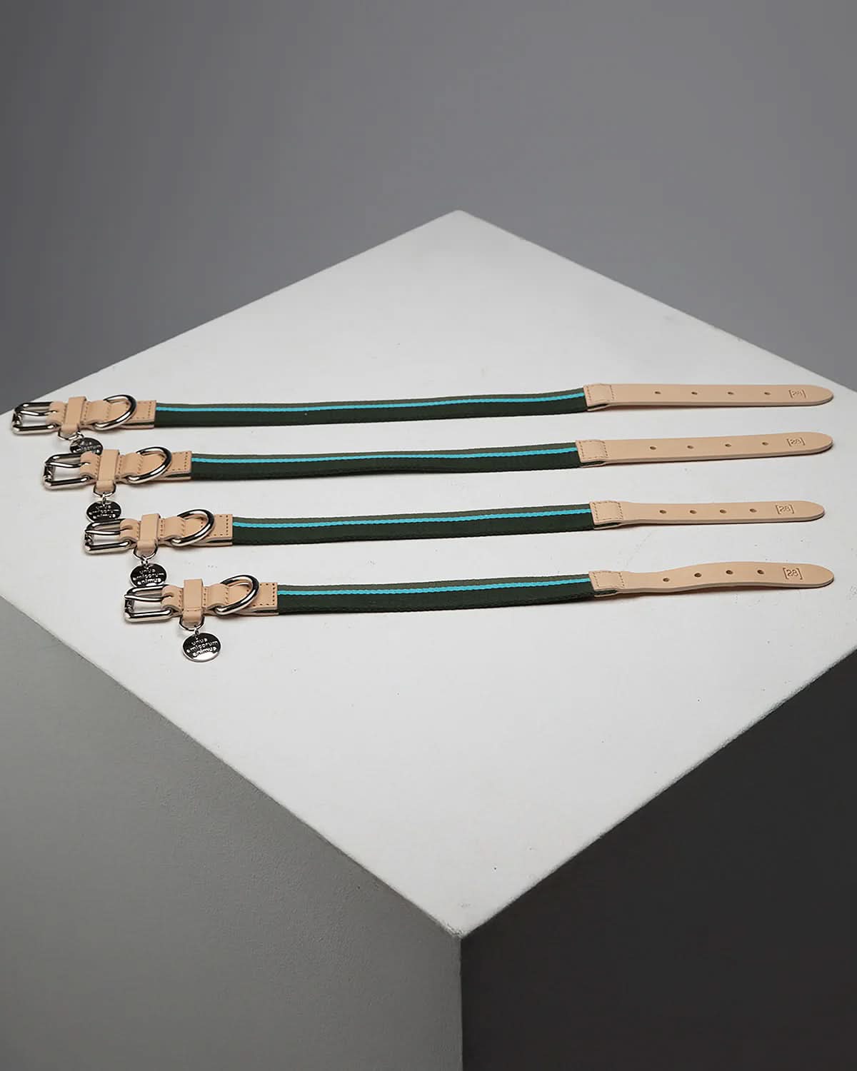 FRANCO RIBBON DOG COLLAR | קולר לכלב