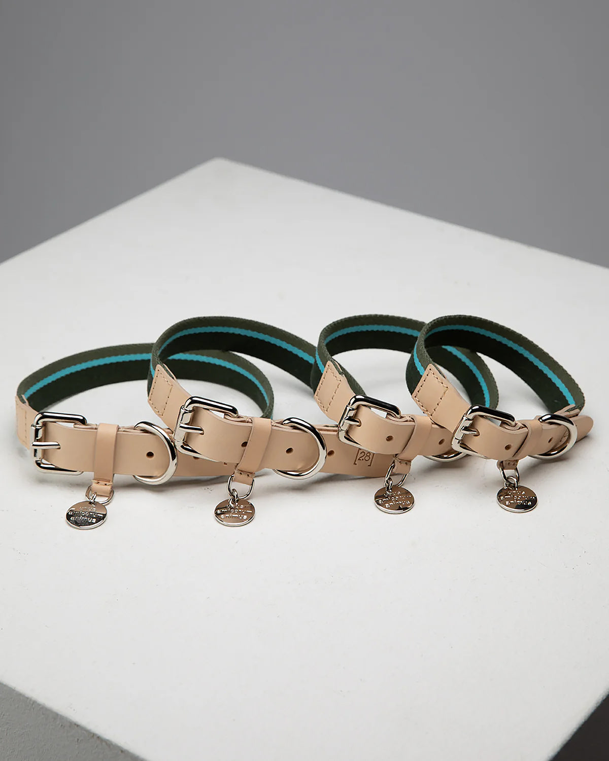 FRANCO RIBBON DOG COLLAR | קולר לכלב