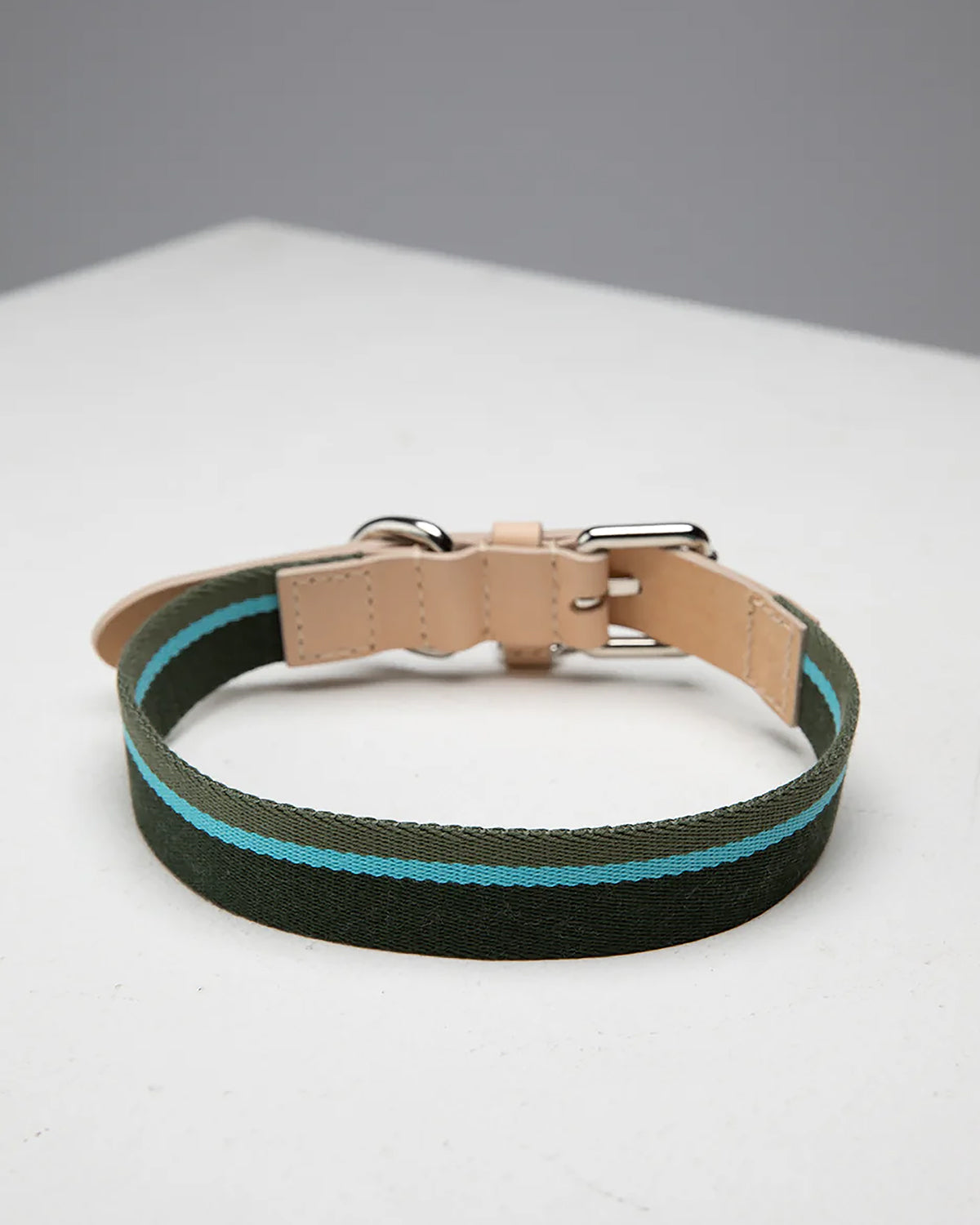 FRANCO RIBBON DOG COLLAR | קולר לכלב