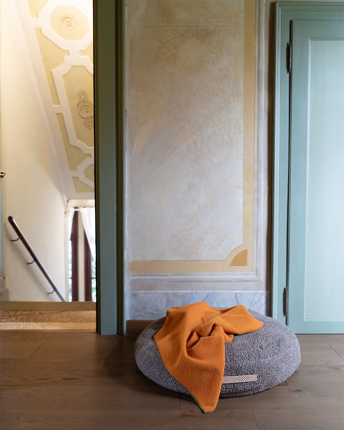 מיטת פוף לכלב