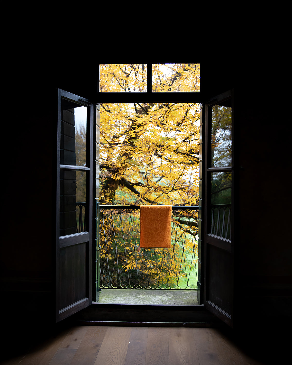 ANSEL CASENTINO WOOL CAT BLANKET | שמיכה לחתול