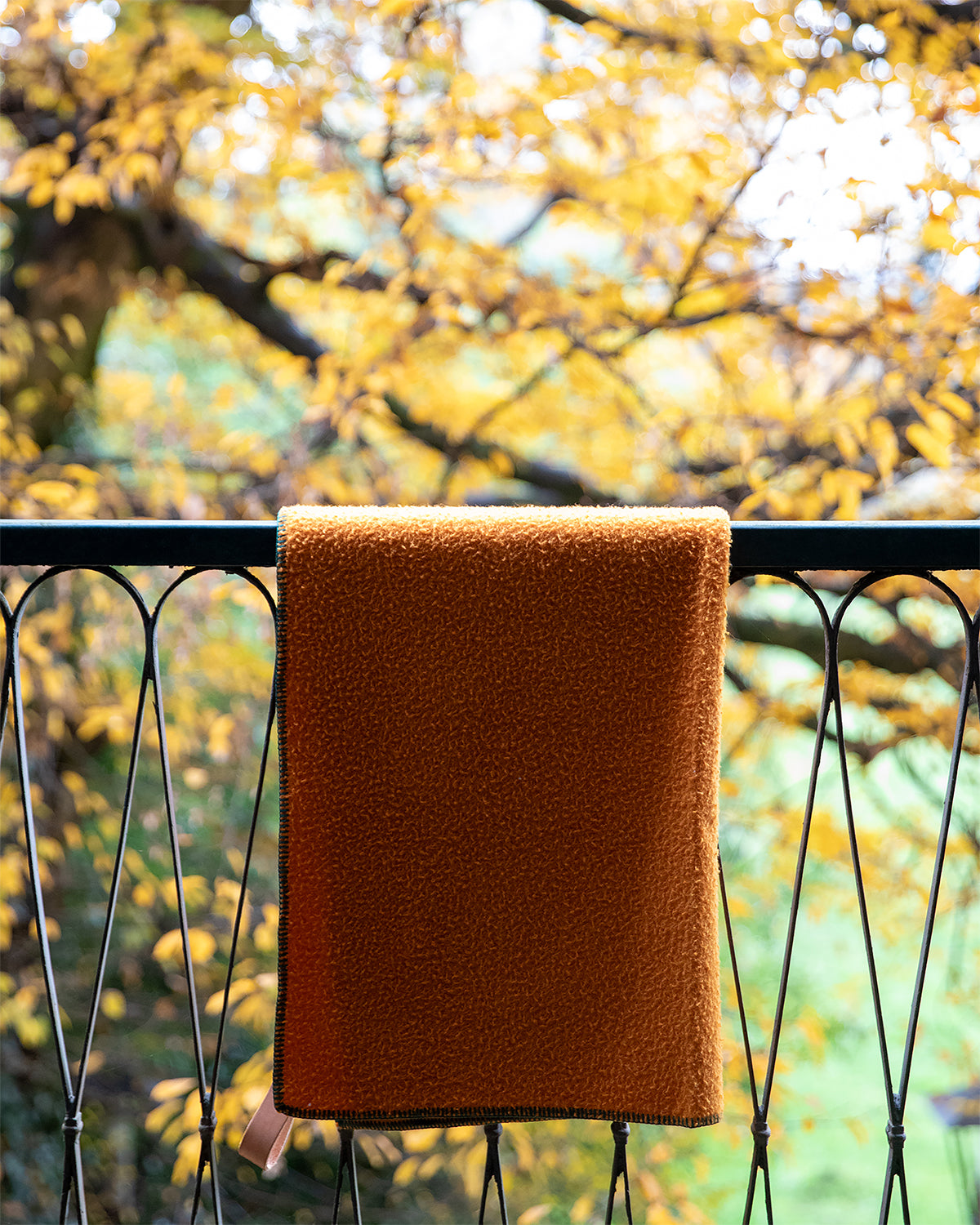 ANSEL CASENTINO WOOL CAT BLANKET | שמיכה לחתול