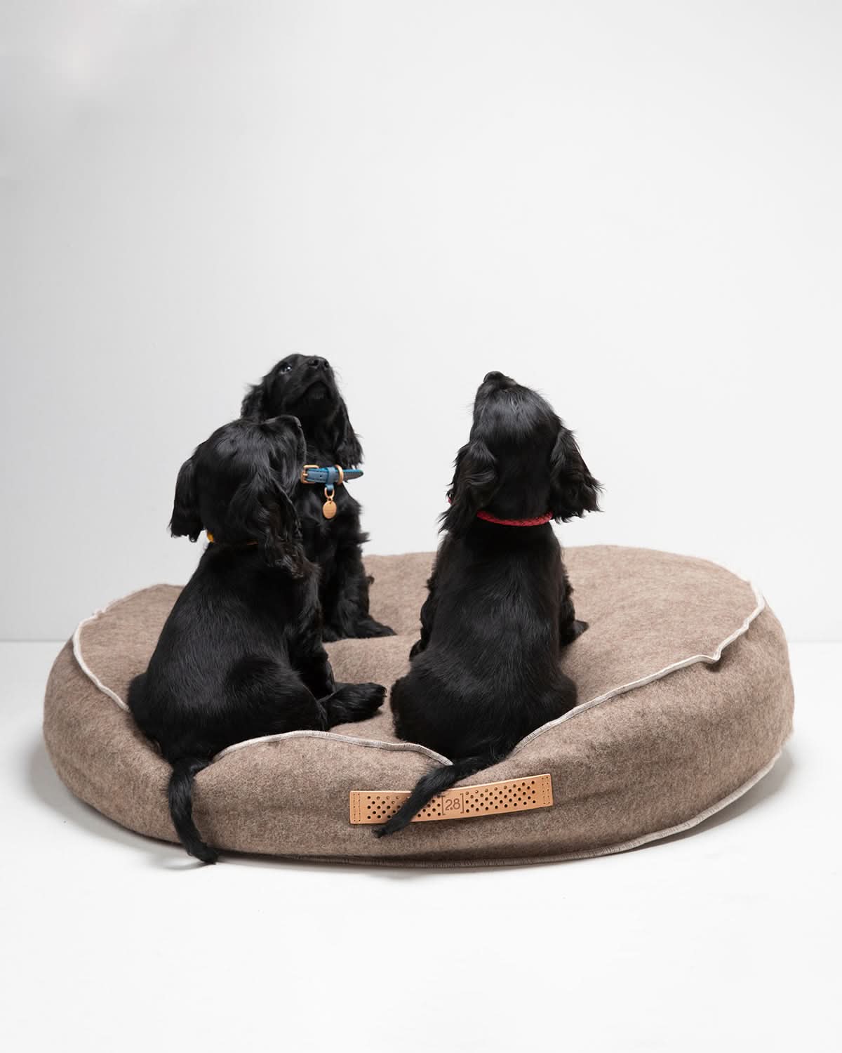 FULVIO RECYCLED WOOL | מיטת פוף לכלב