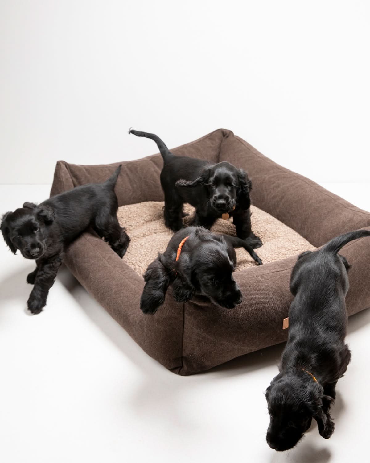 HENRI ORGANIC COTTON DOG BED | מיטה לכלב
