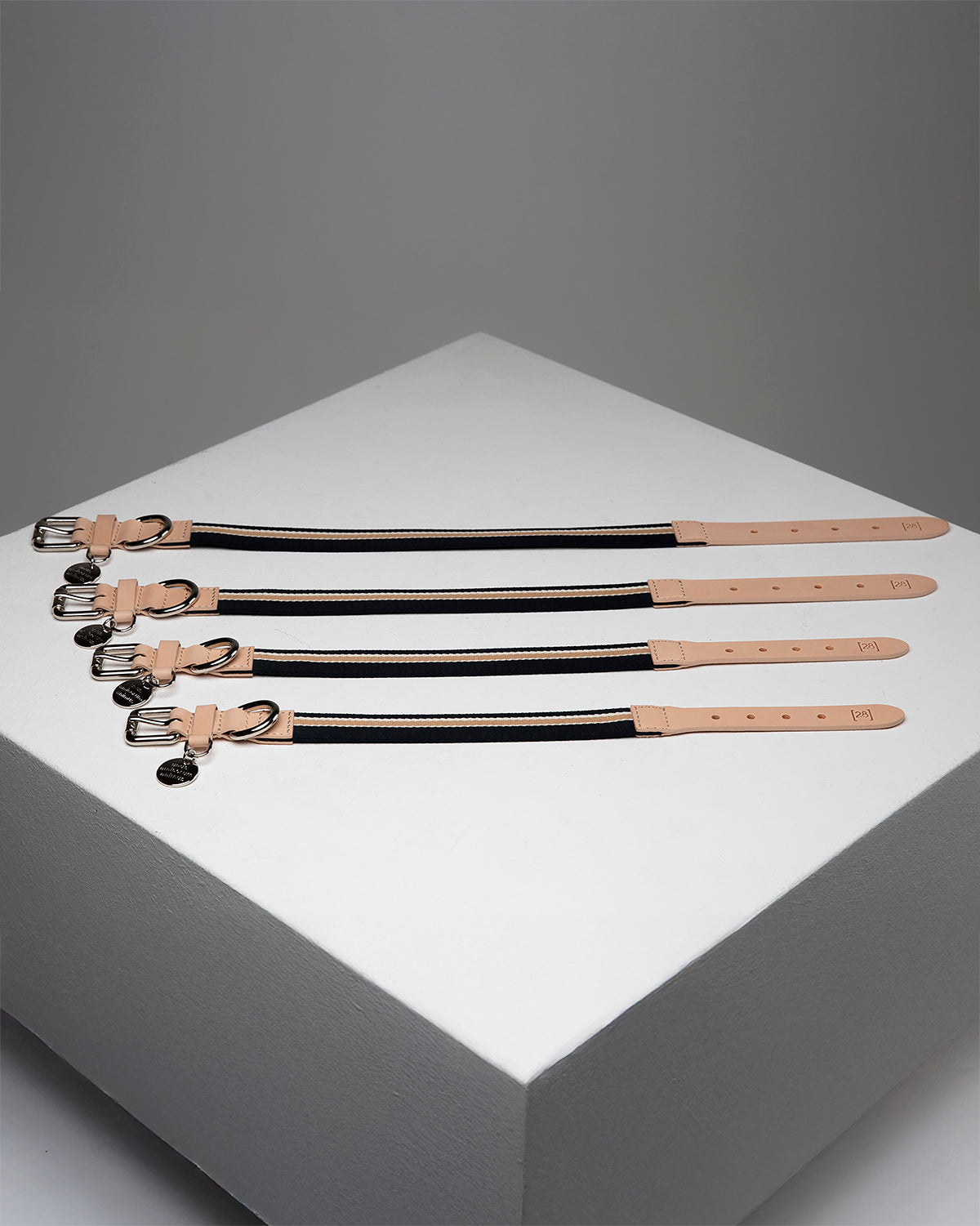 קולר לכלבים