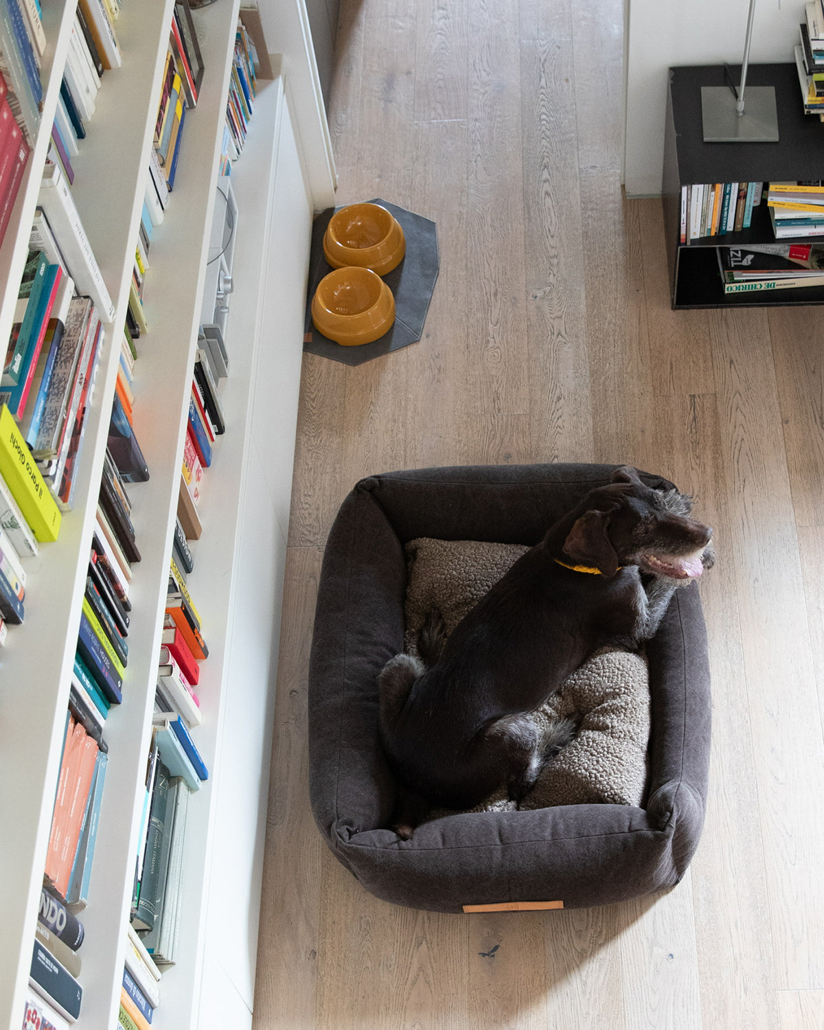 HENRI ORGANIC COTTON BED | מיטה לכלב