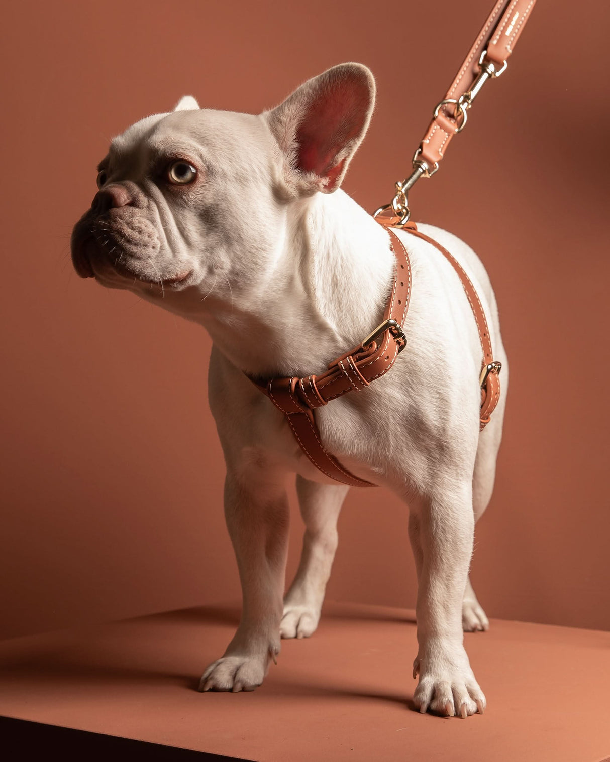 GABRIELE FREE-HANDS LONG LEATHER DOG LEASH | רצועת עור ארוכה ומתכווננת לכלבים