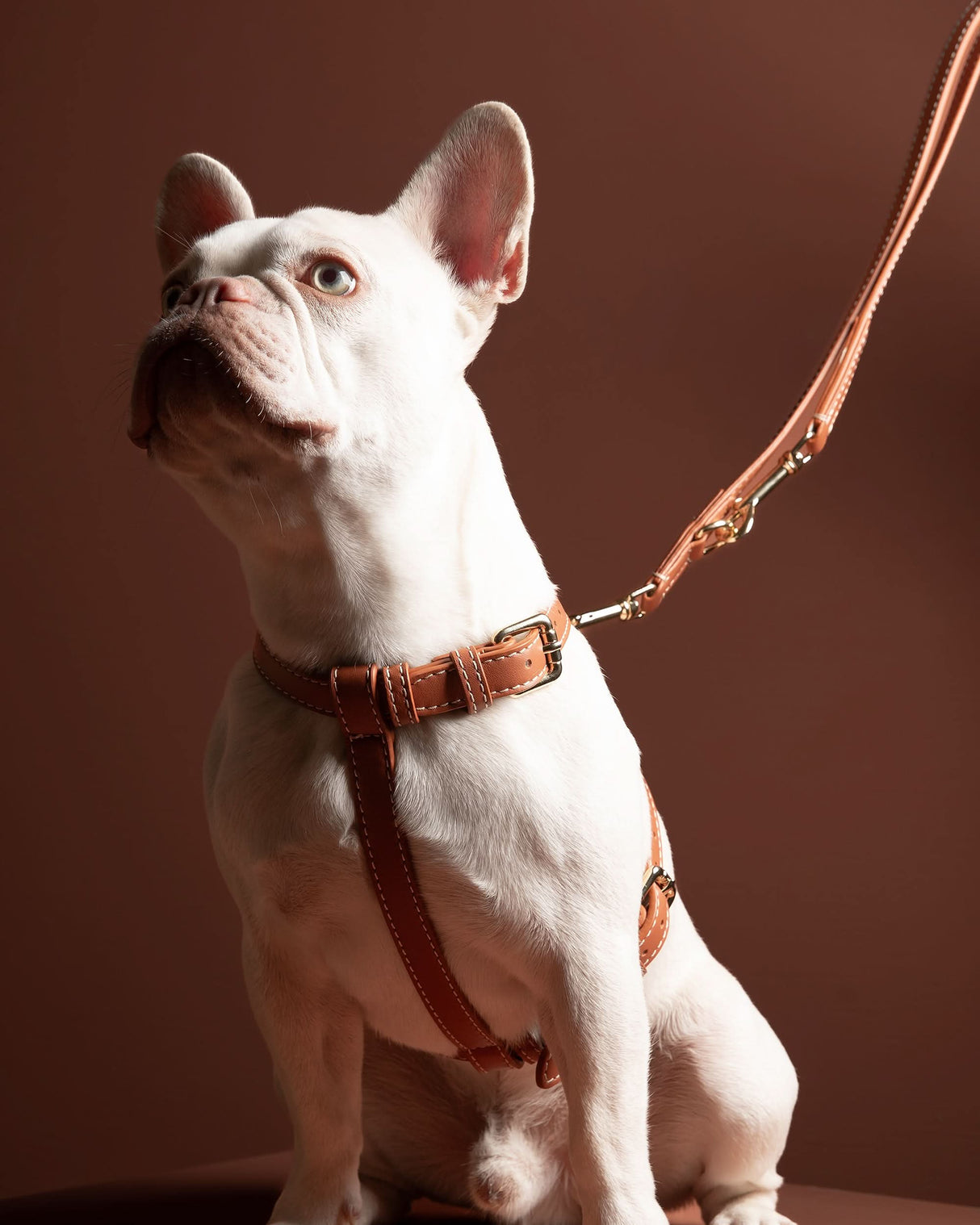 GABRIELE FREE-HANDS LONG LEATHER DOG LEASH | רצועת עור ארוכה ומתכווננת לכלבים