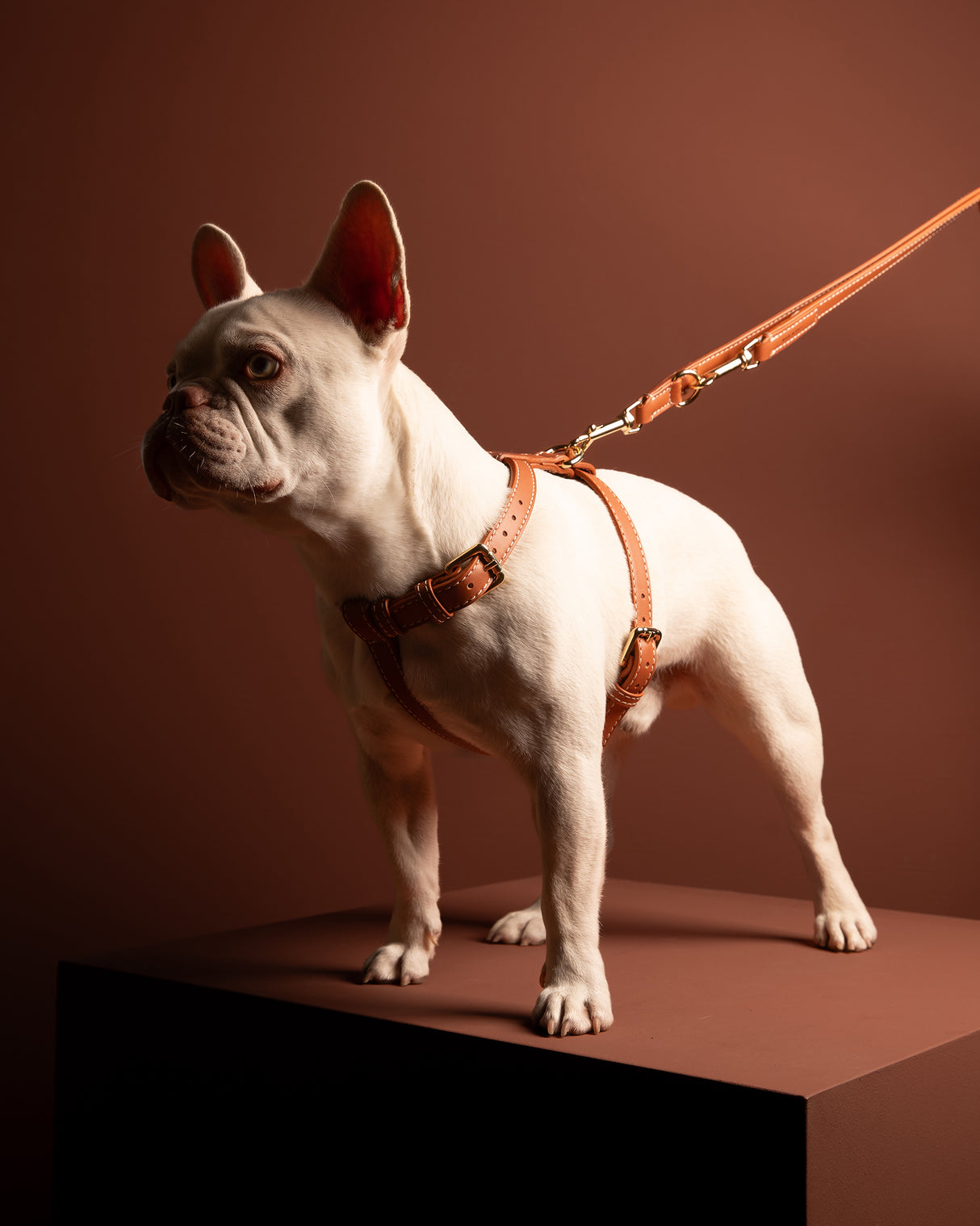 GABRIELE FREE-HANDS LONG LEATHER DOG LEAD | רצועת עור ארוכה ומתכווננת לכלבים