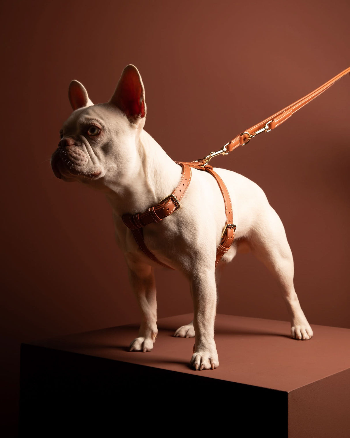 GABRIELE FREE-HANDS LONG LEATHER DOG LEASH | רצועת עור ארוכה ומתכווננת לכלבים