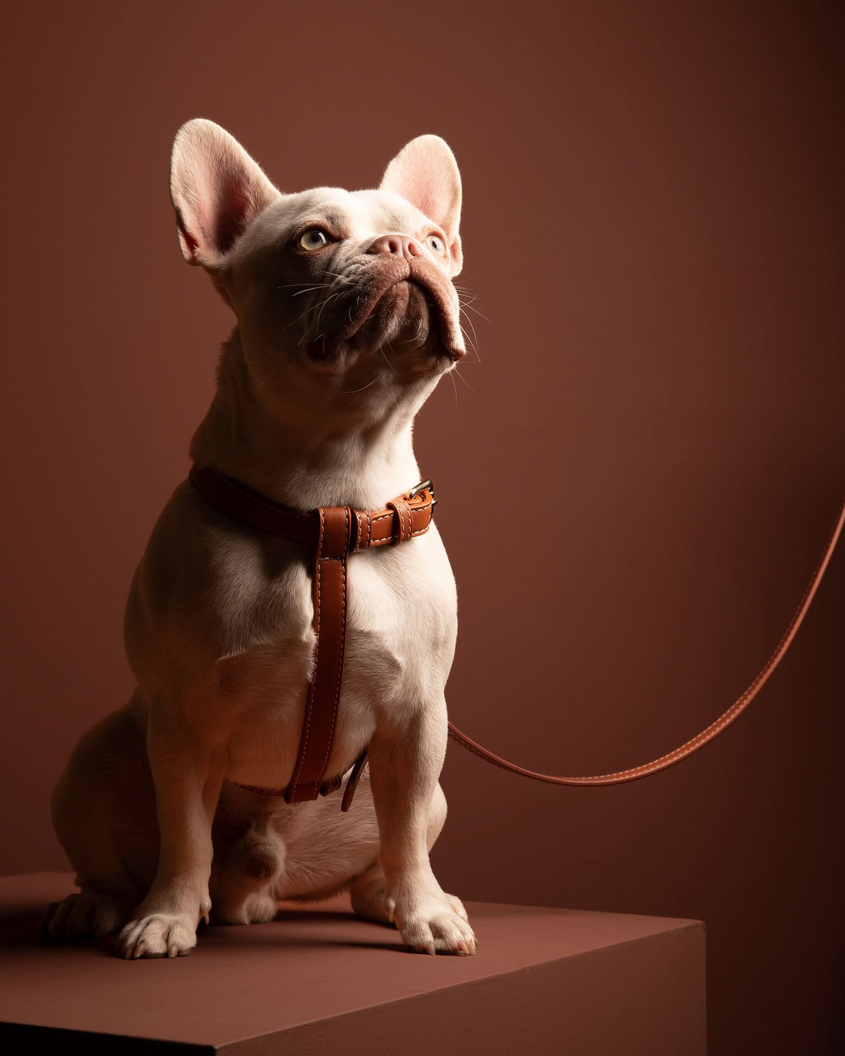 GABRIELE FREE-HANDS LONG LEATHER DOG LEASH | רצועת עור ארוכה ומתכווננת לכלבים