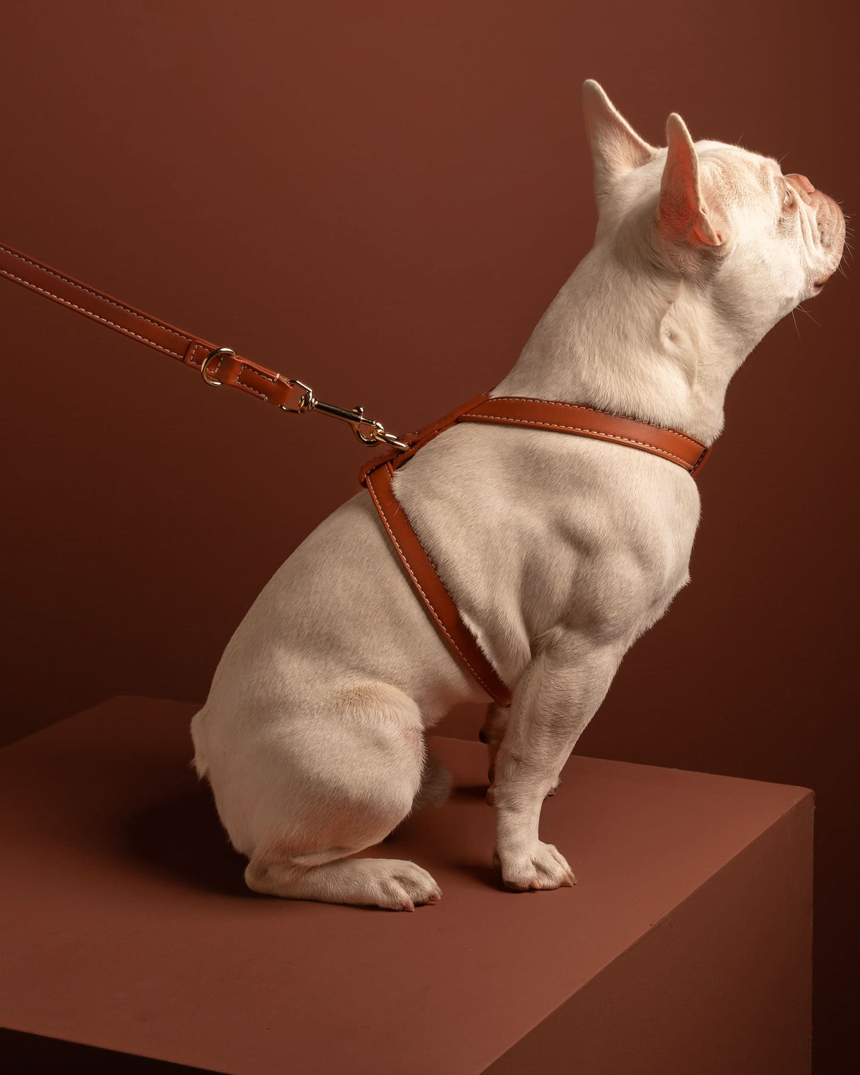 GABRIELE FREE-HANDS LONG LEATHER DOG LEASH | רצועת עור ארוכה ומתכווננת לכלבים