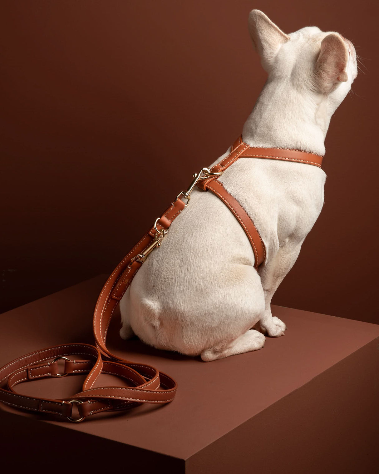 GABRIELE FREE-HANDS LONG LEATHER DOG LEASH | רצועת עור ארוכה ומתכווננת לכלבים