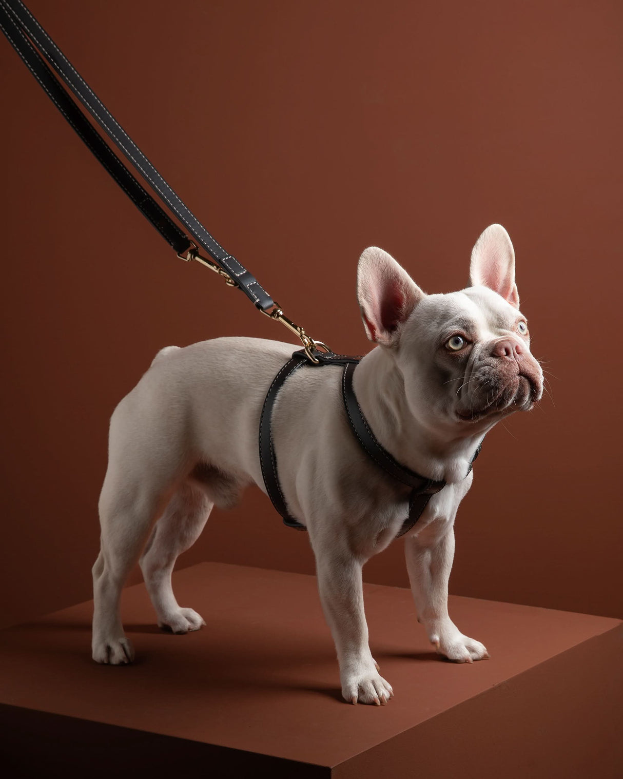 GABRIELE FREE-HANDS LONG LEATHER DOG LEASH | רצועת עור ארוכה ומתכווננת לכלבים