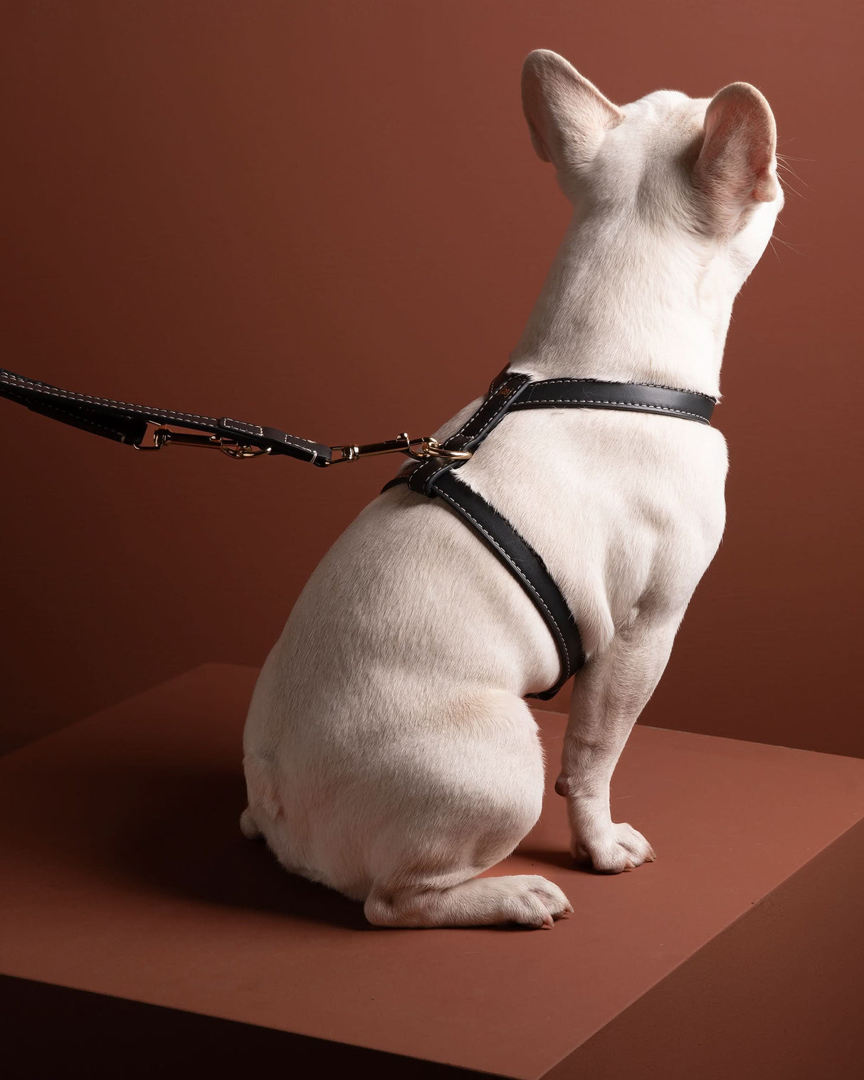 GABRIELE FREE-HANDS LONG LEATHER DOG LEASH | רצועת עור ארוכה ומתכווננת לכלבים