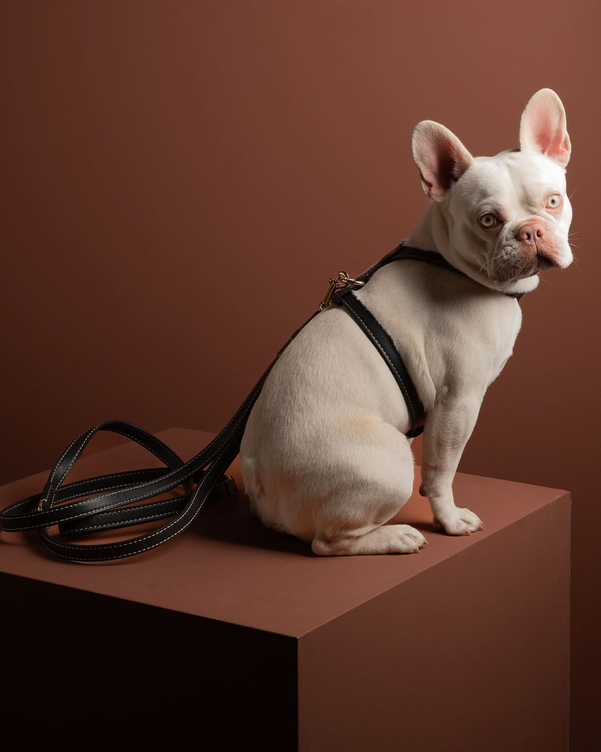 GABRIELE FREE-HANDS LONG LEATHER DOG LEASH | רצועת עור ארוכה ומתכווננת לכלבים