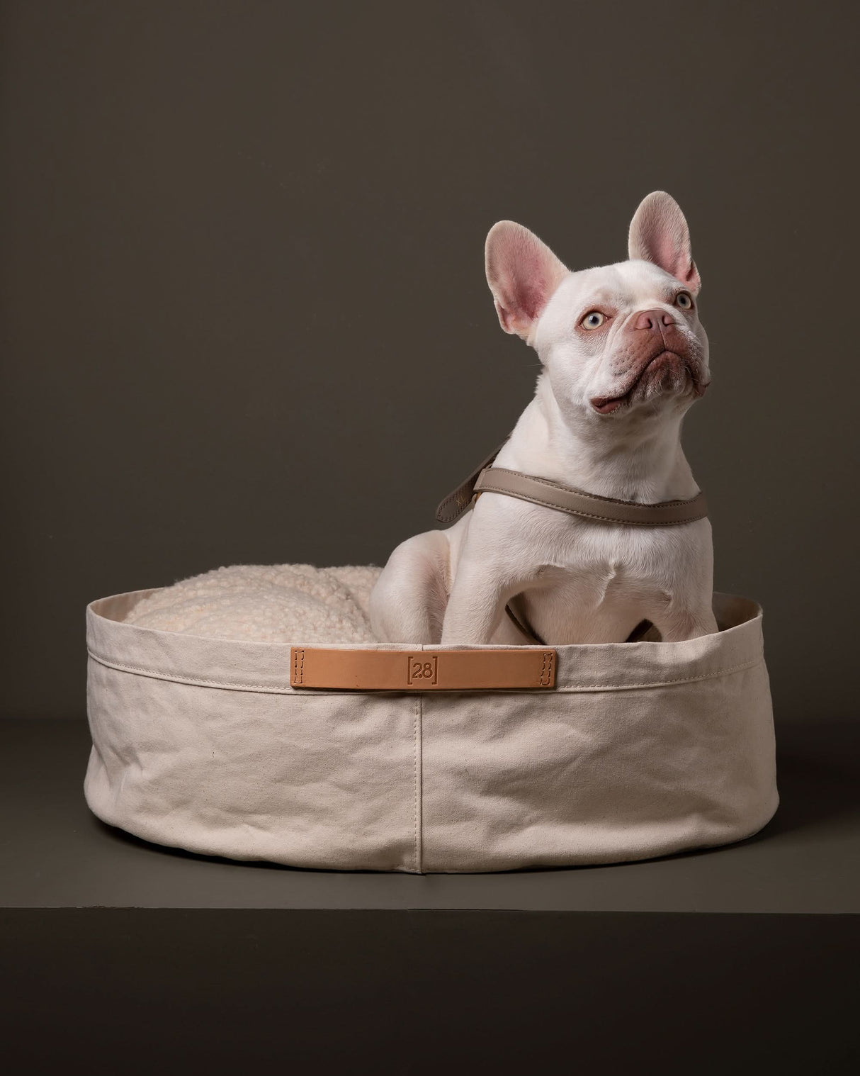 IRVING COTTON DRILL DOG & CAT BED | מיטה לכלבים ולחתולים