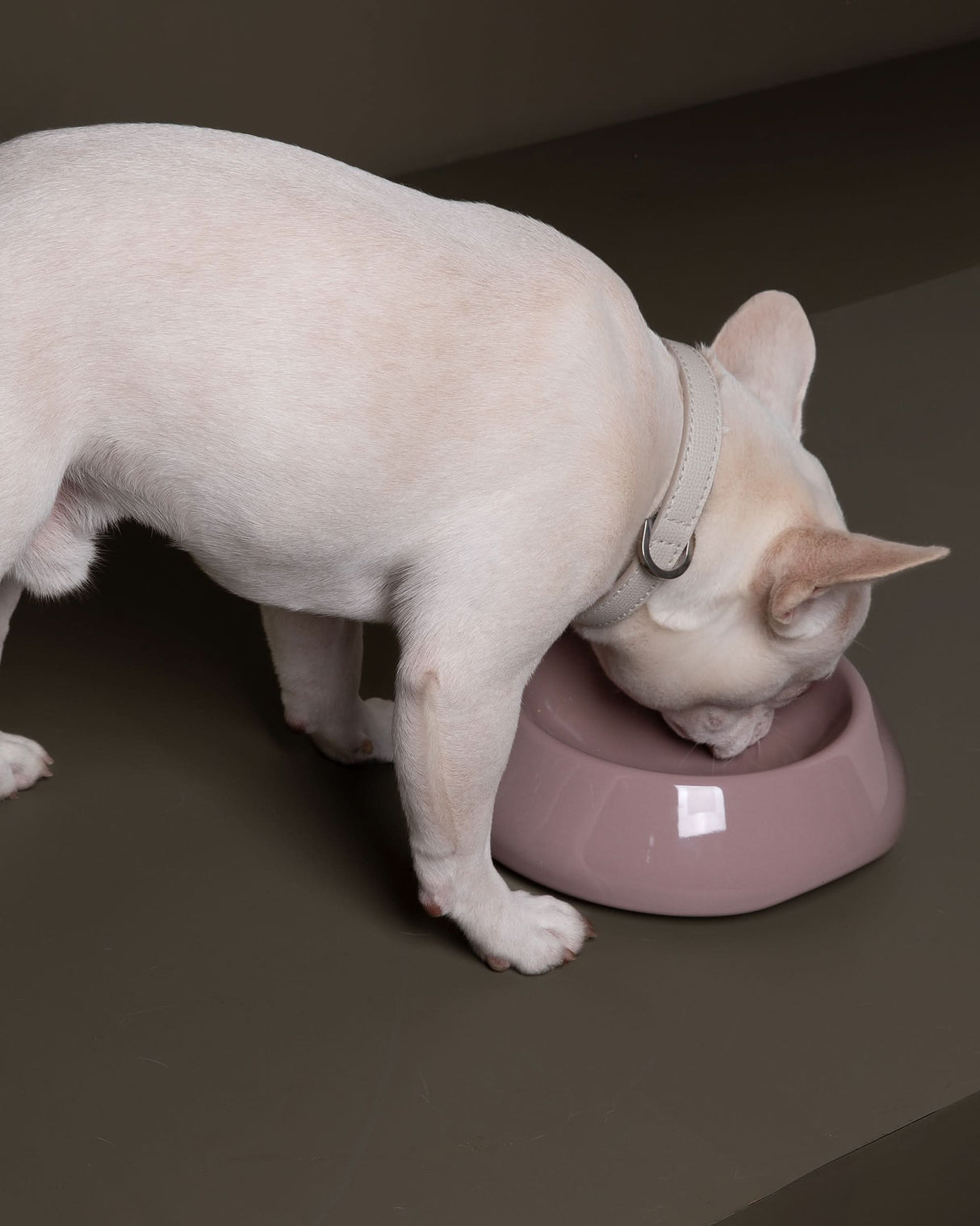 SARAH DOG & CAT CERAMIC BOWLS | קערות קרמיקה לכלבים ולחתולים