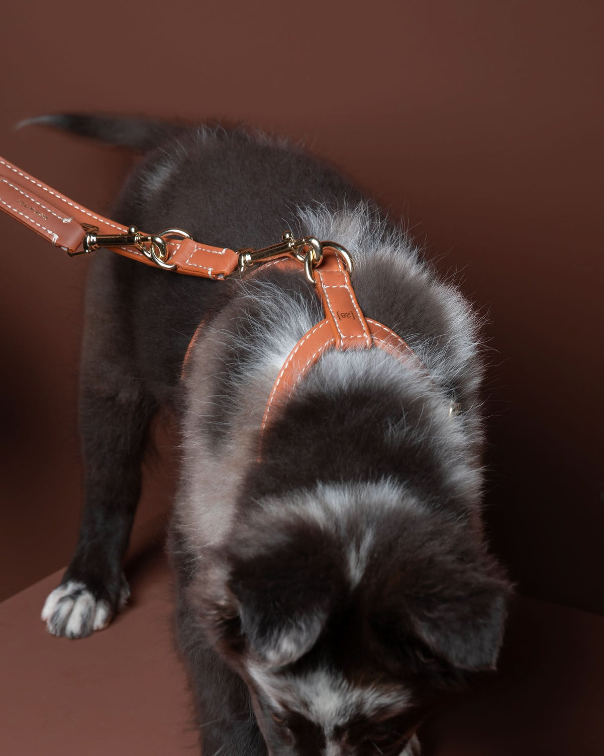 GABRIELE FREE-HANDS LONG LEATHER DOG LEASH | רצועת עור ארוכה ומתכווננת לכלבים