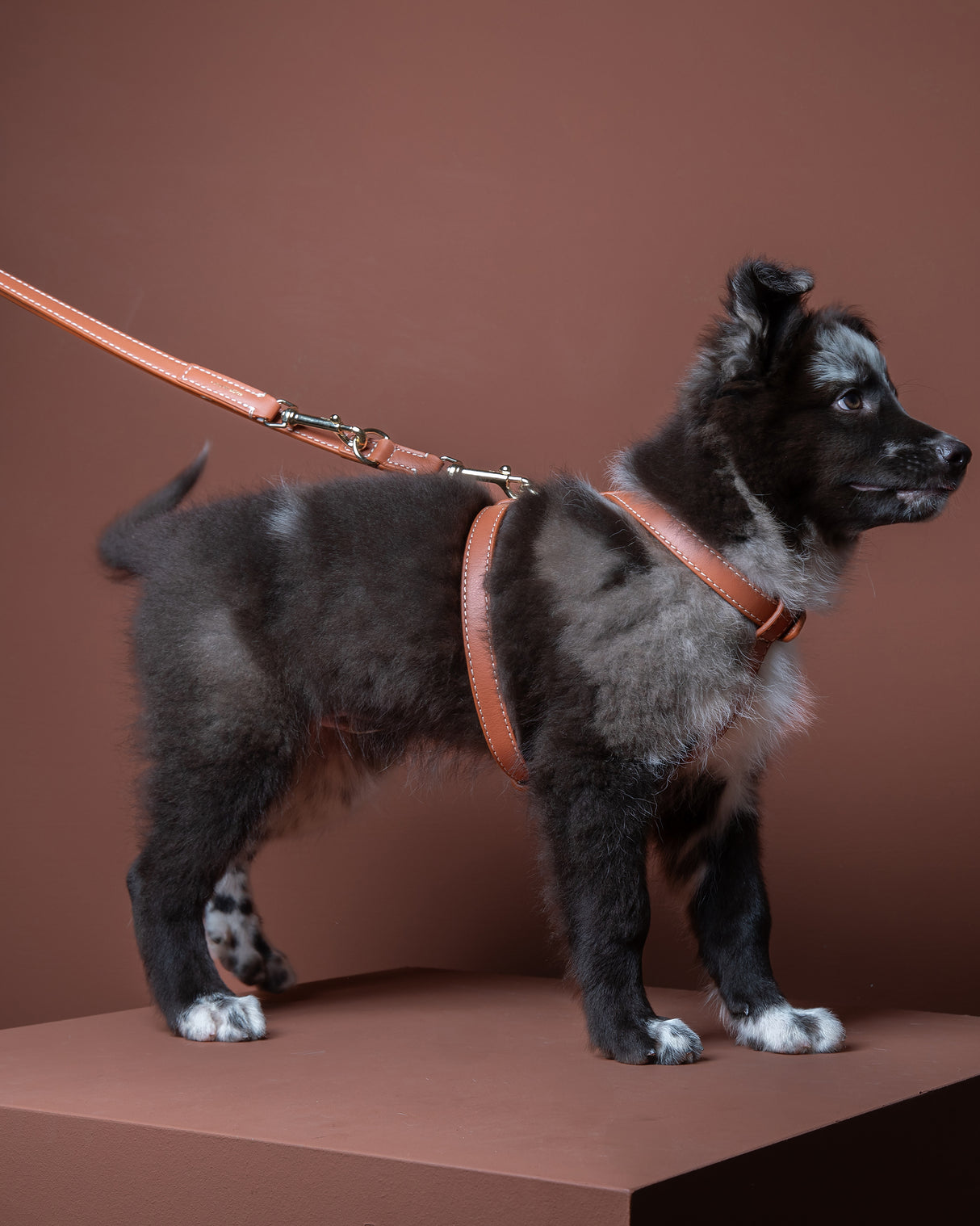 GABRIELE FREE-HANDS LONG LEATHER DOG LEAD | רצועת עור ארוכה ומתכווננת לכלבים