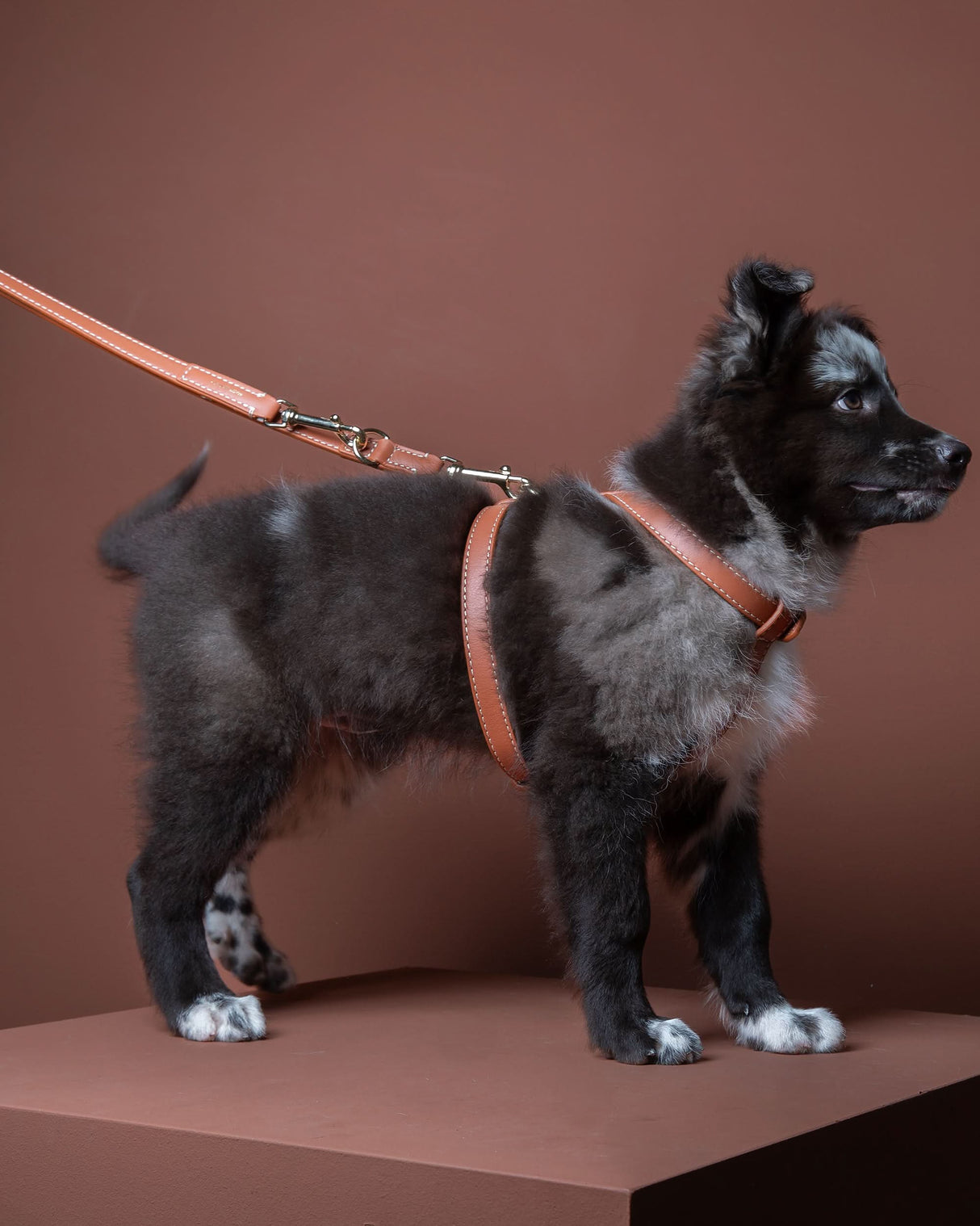 GABRIELE FREE-HANDS LONG LEATHER DOG LEASH | רצועת עור ארוכה ומתכווננת לכלבים