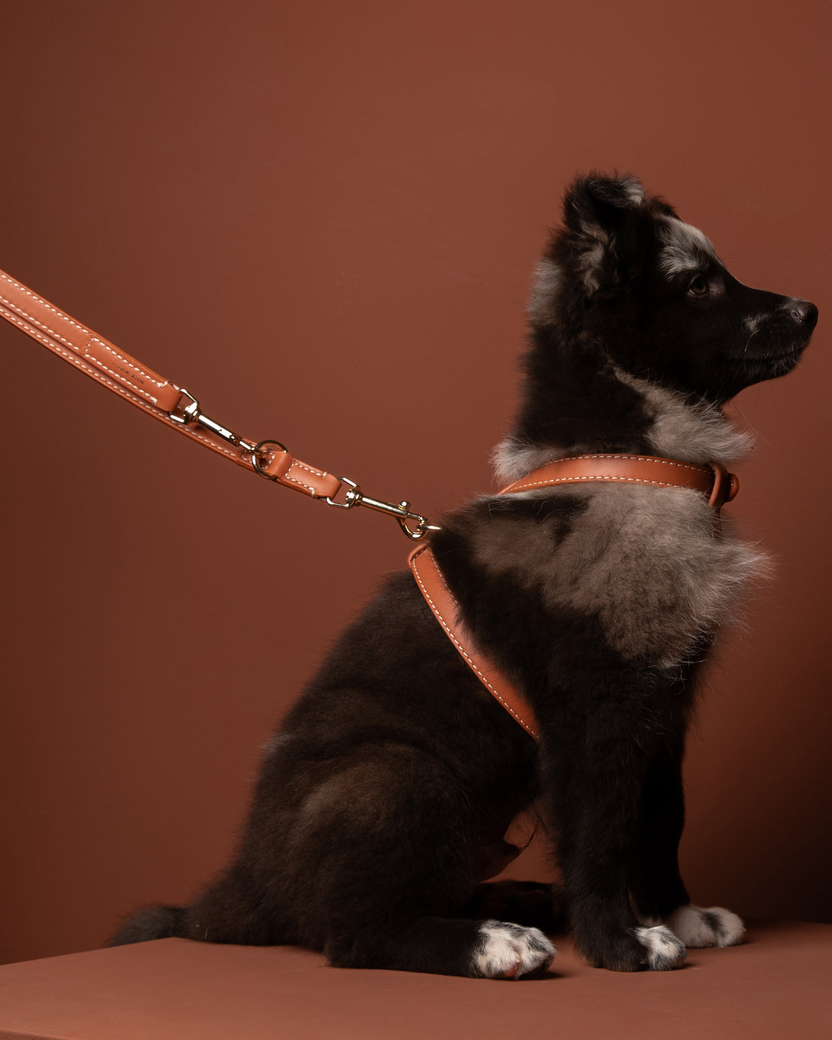 GABRIELE NAPPA LEATHER DOG HARNESS | רתמת עור נאפה לכלב
