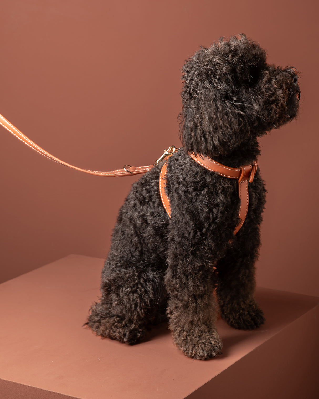 GABRIELE FREE-HANDS LONG LEATHER DOG LEAD | רצועת עור ארוכה ומתכווננת לכלבים