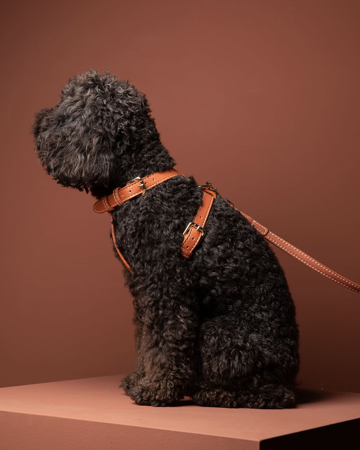 GABRIELE FREE-HANDS LONG LEATHER DOG LEASH | רצועת עור ארוכה ומתכווננת לכלבים