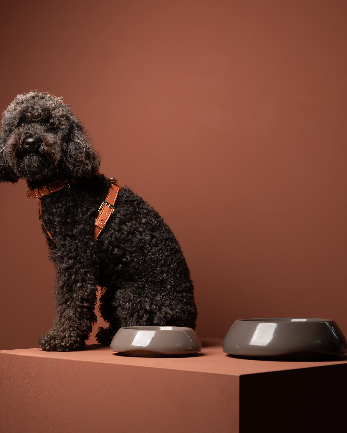 SARAH DOG & CAT CERAMIC BOWLS | קערות קרמיקה לכלבים ולחתולים